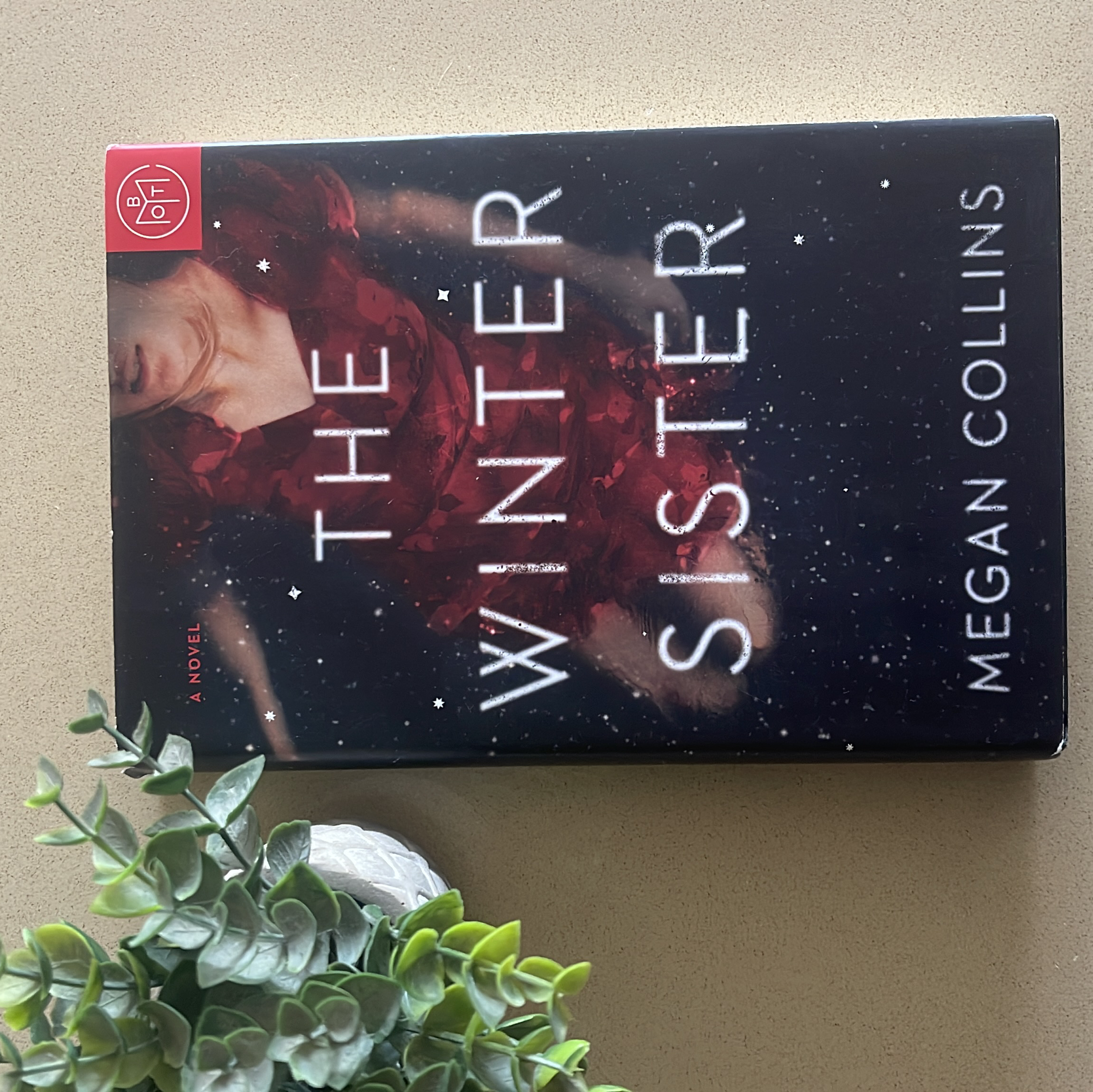 The Winter Sister