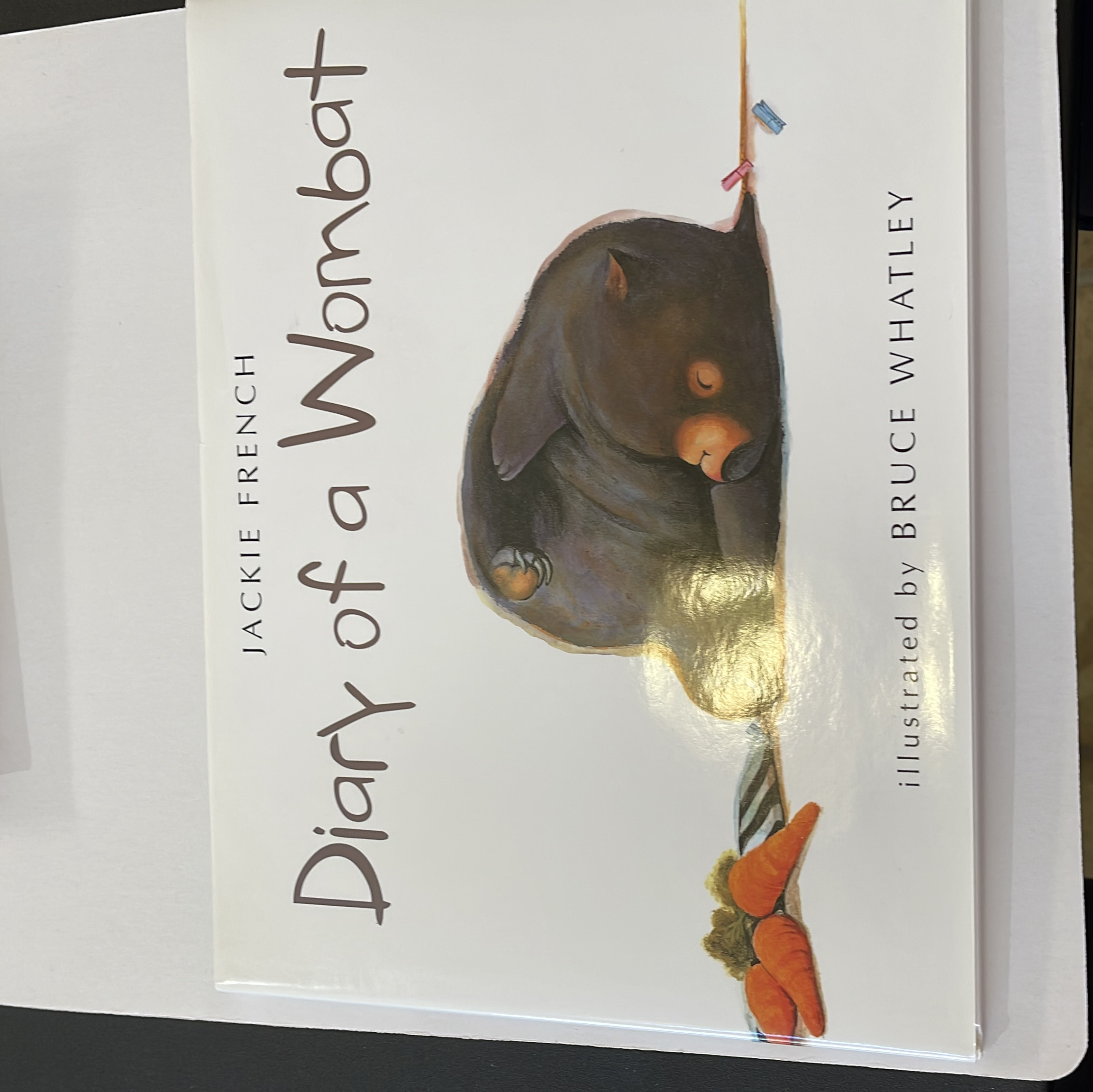 Diary of a Wombat