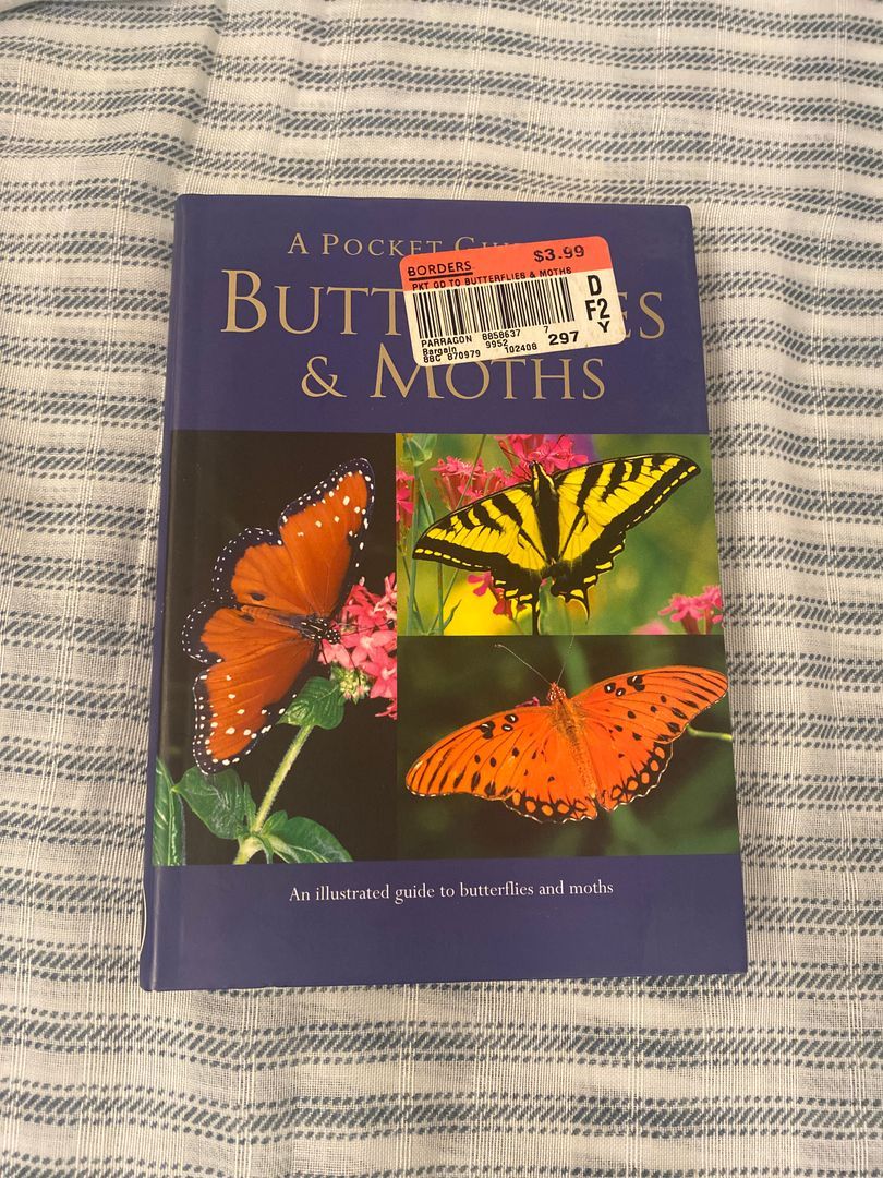 A Pocket Guide to Butterflies and Moths