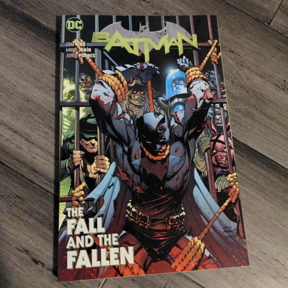 Batman Vol. 11: the Fall and the Fallen by Tom King