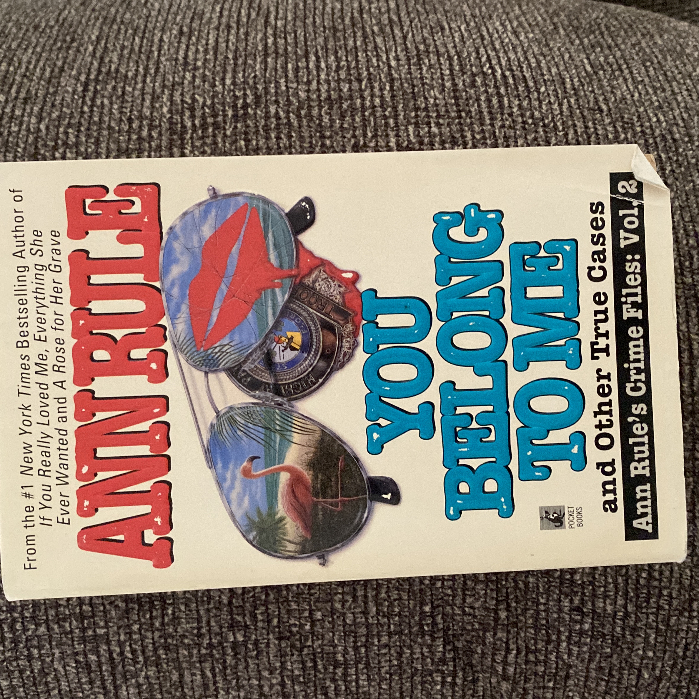 You Belong to Me and Other True Crime Files Vol. 2