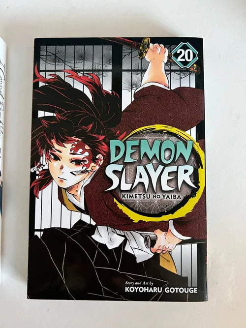 Demon Slayer: Kimetsu No Yaiba, Vol. 20