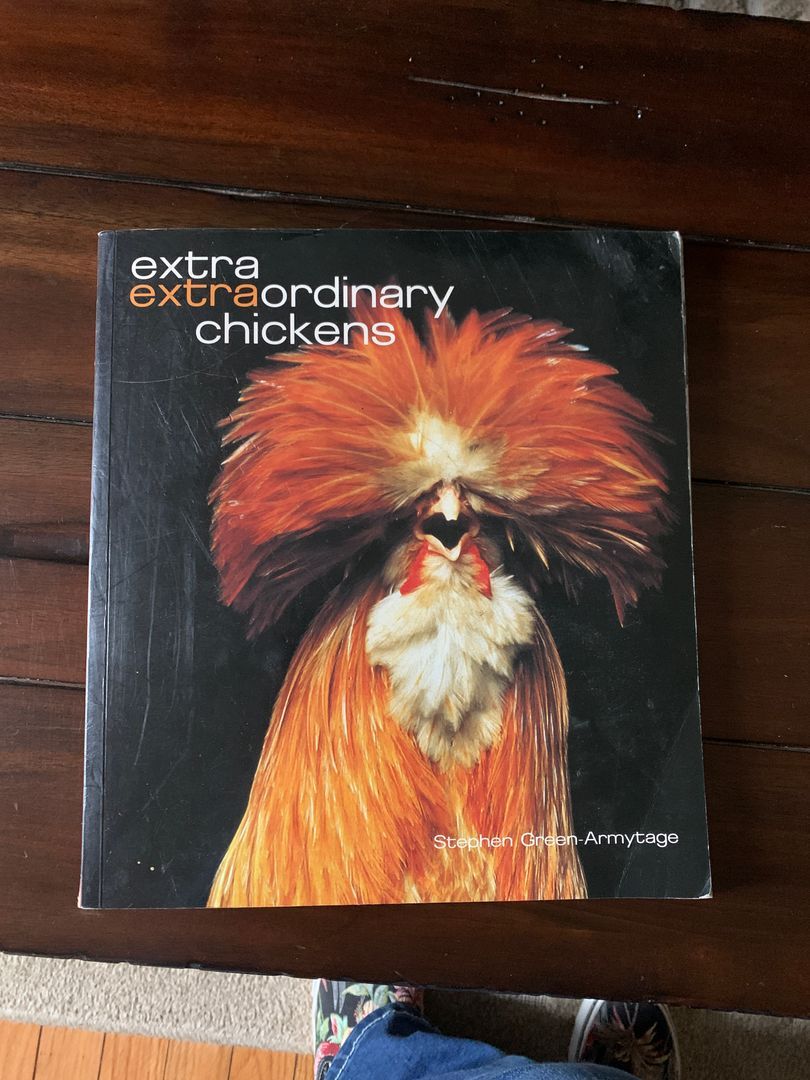 Extra extraordinary chickens