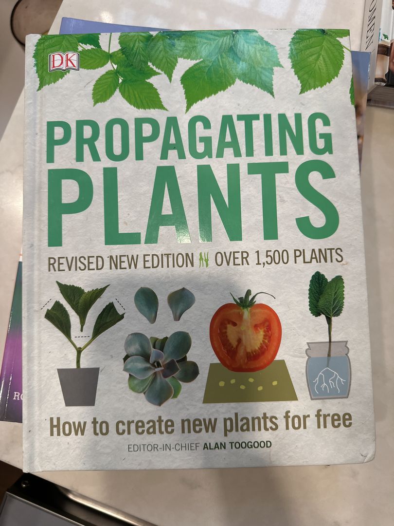 Propagating Plants
