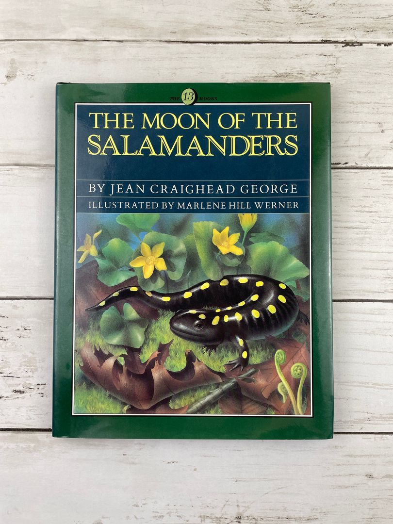 The Moon of the Salamanders
