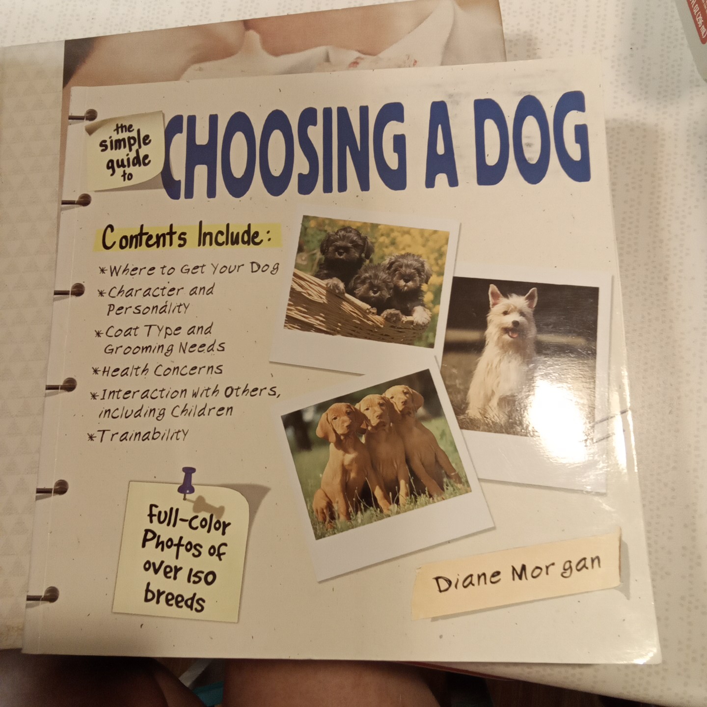 The Simple Guide to Choosing a Dog