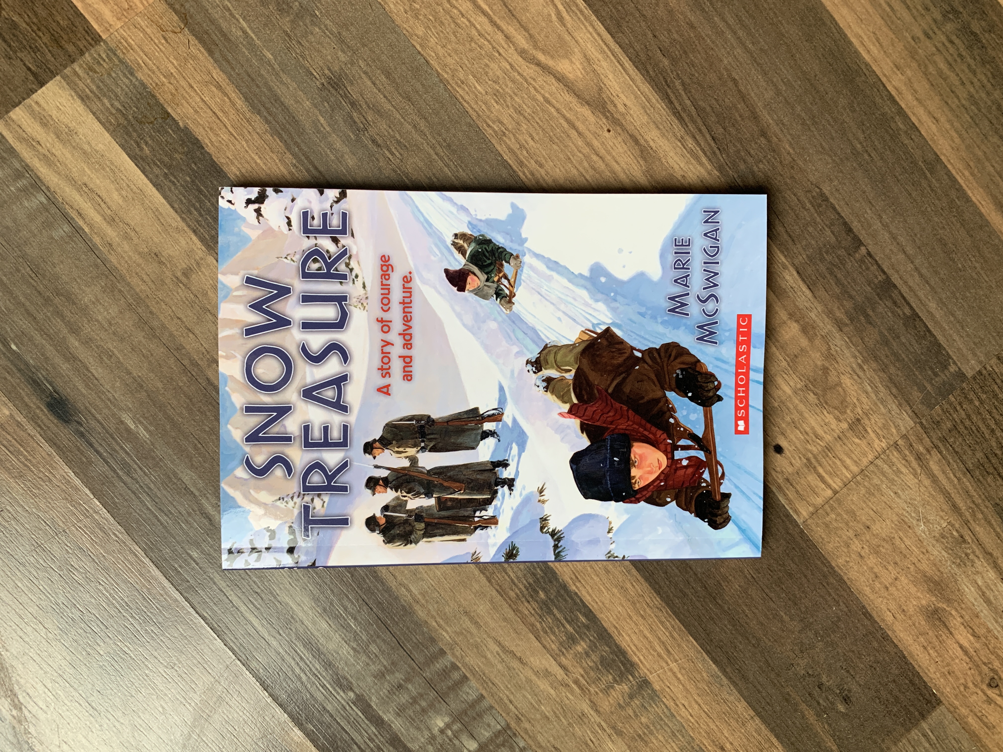 Snow Treasure