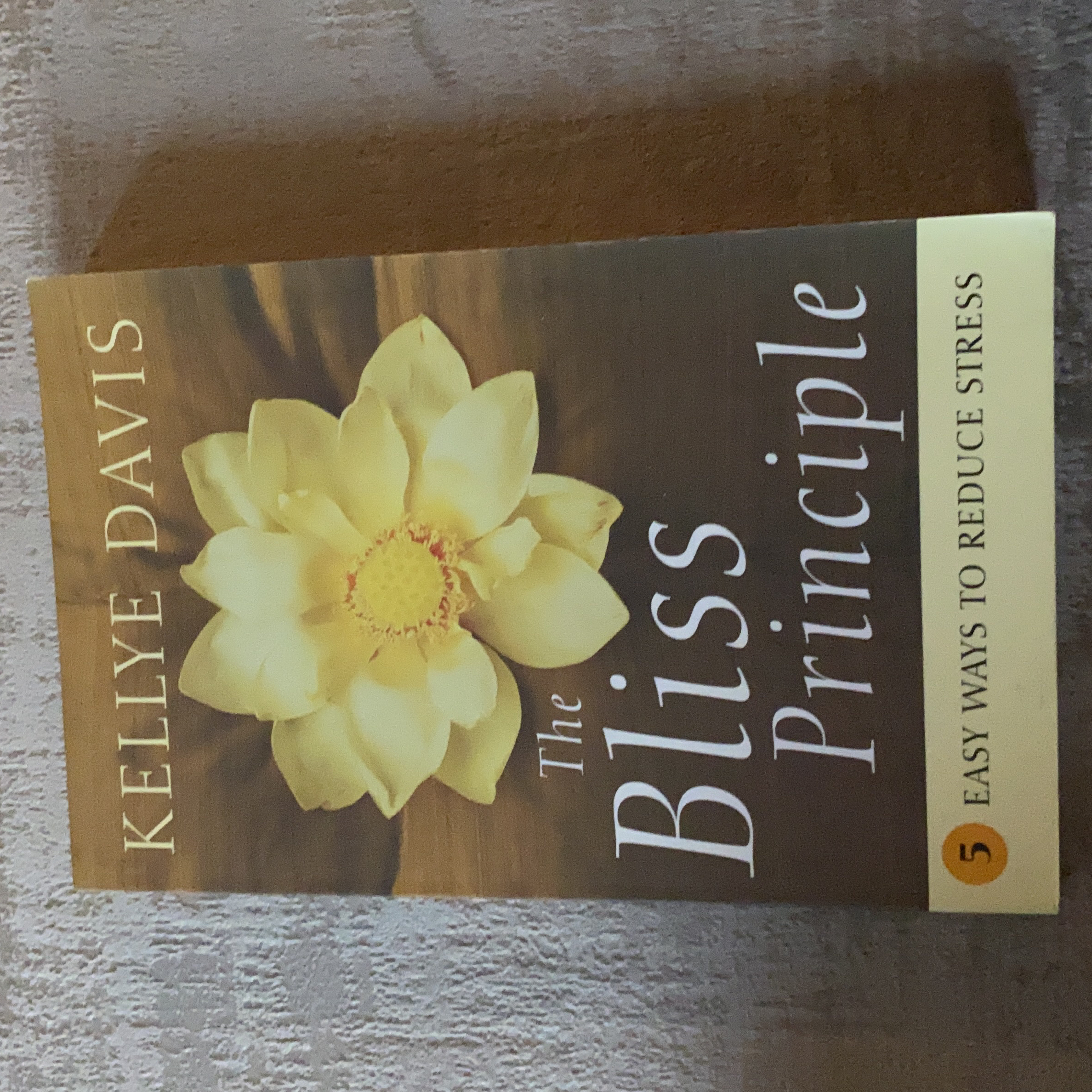 The Bliss Principle