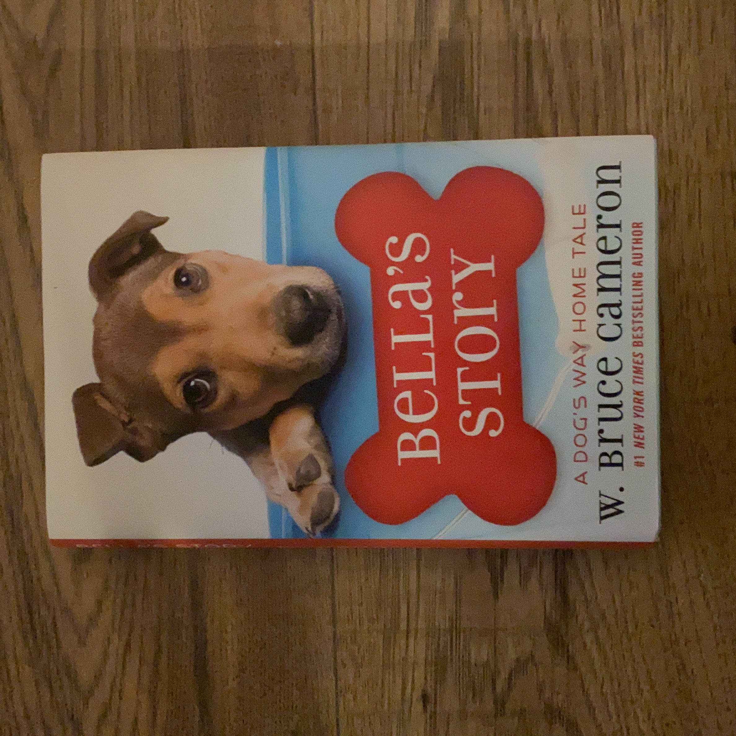Bella's Story