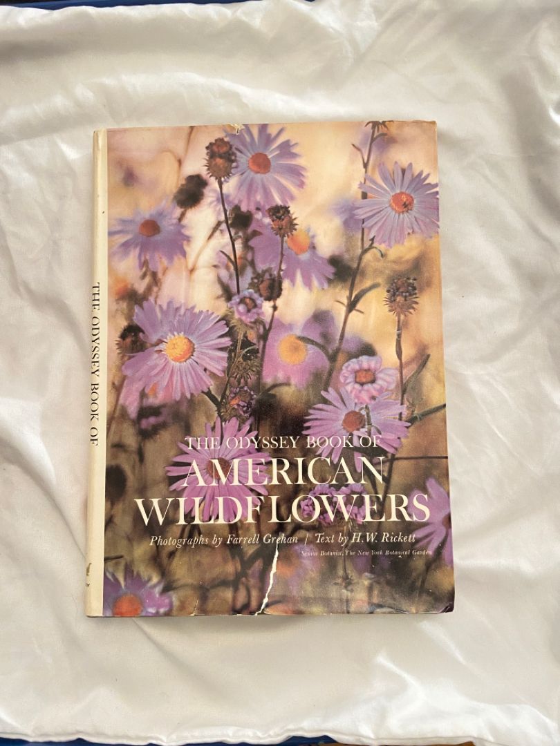 The idea set book of American wildflowers 