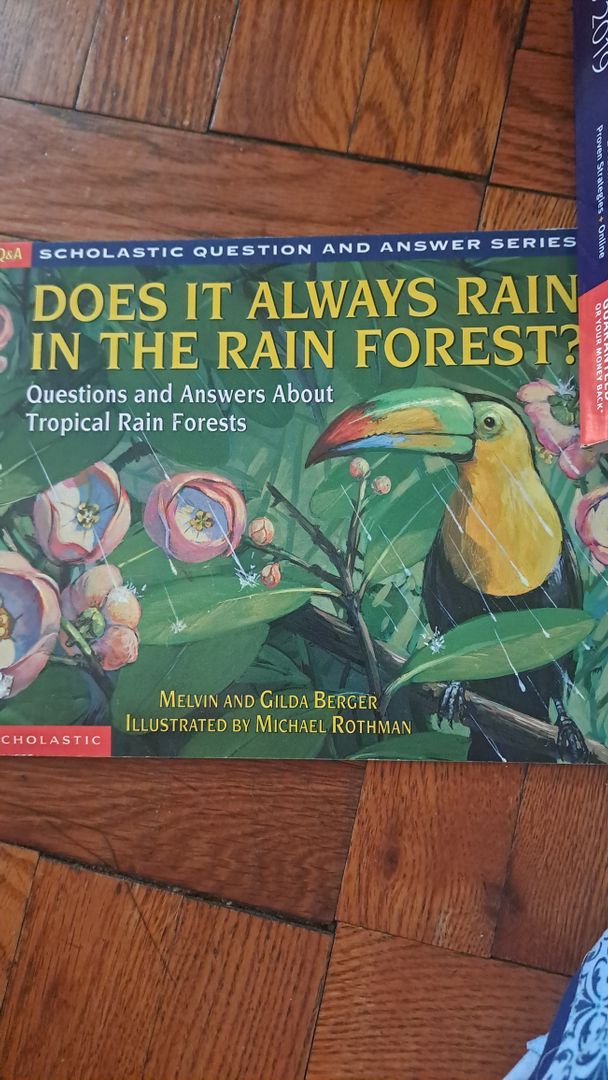 Does It Always Rain in the Rain Forest?