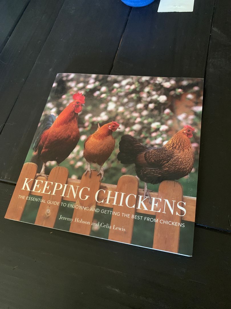 Keeping Chickens