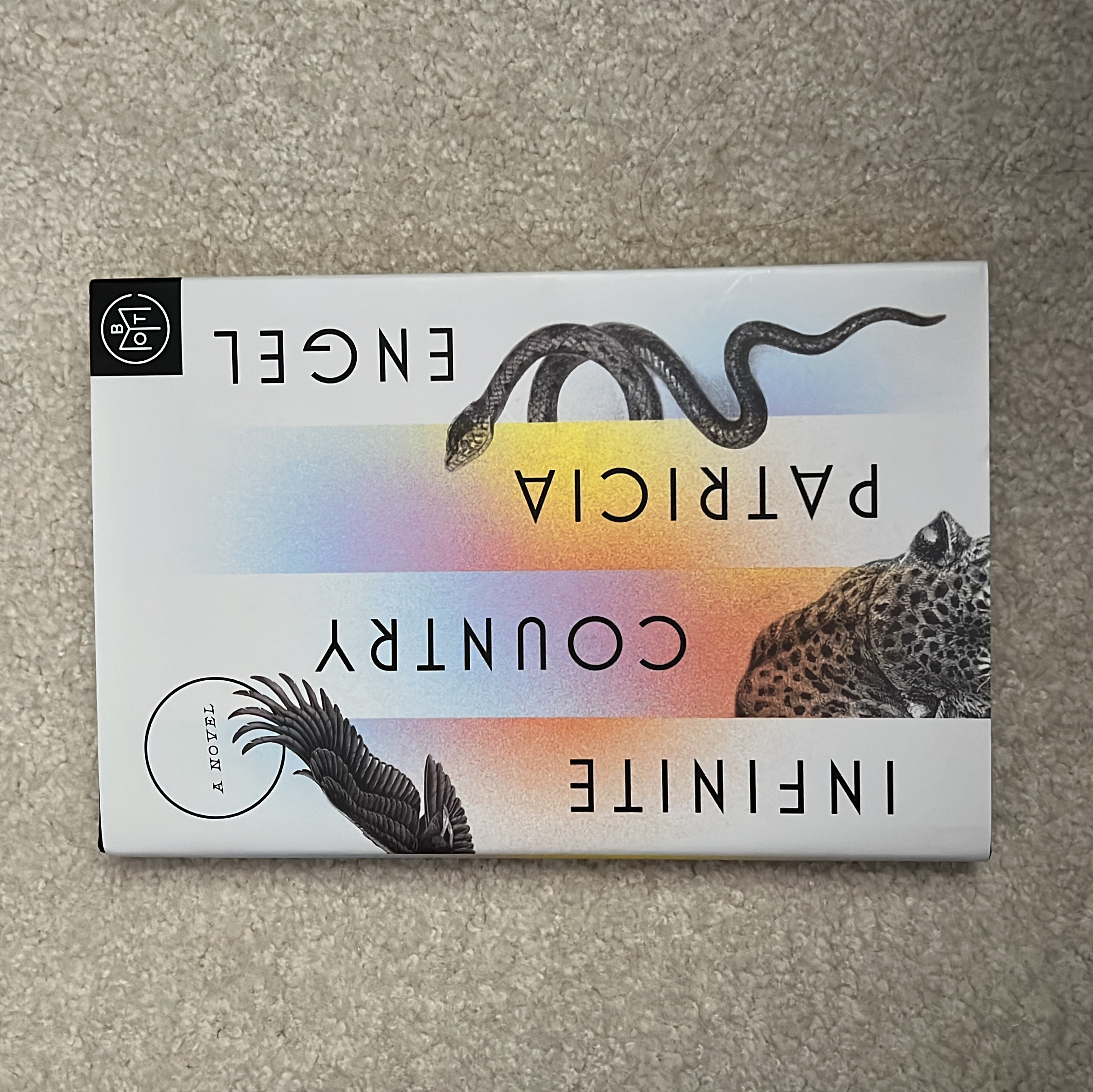 Infinite Country