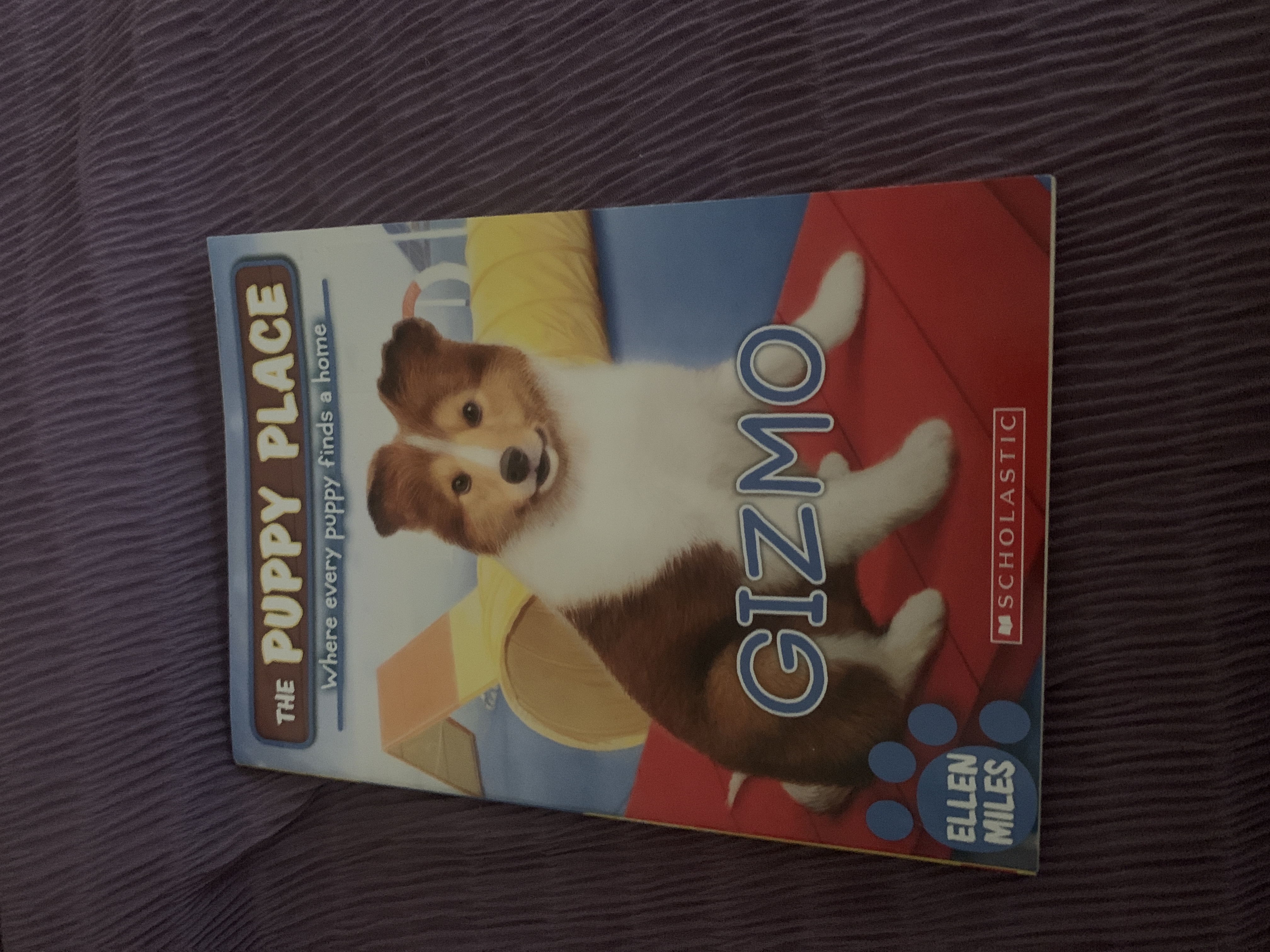 Gizmo