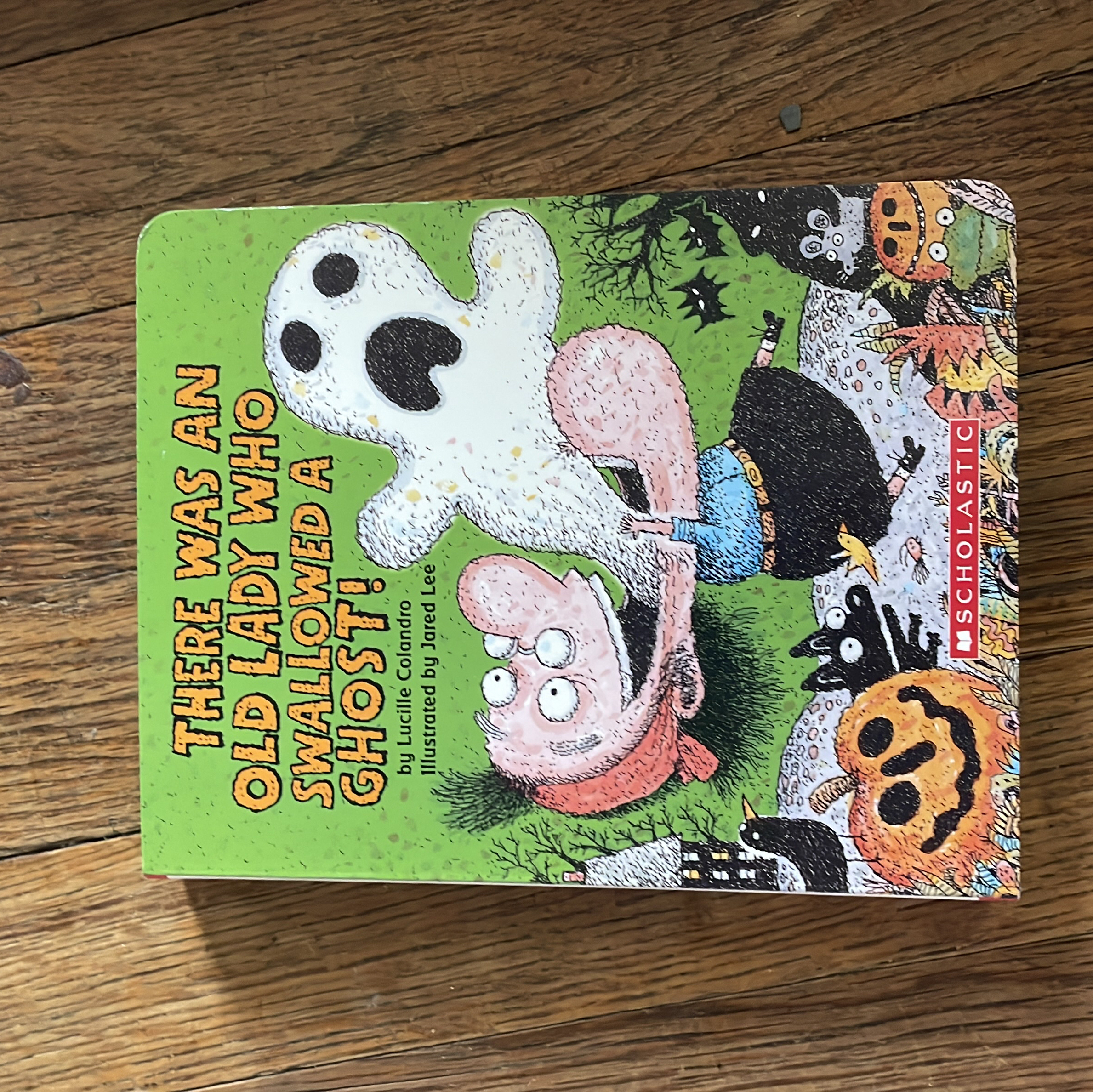 There Was an Old Lady Who Swallowed a Ghost!: a Board Book
