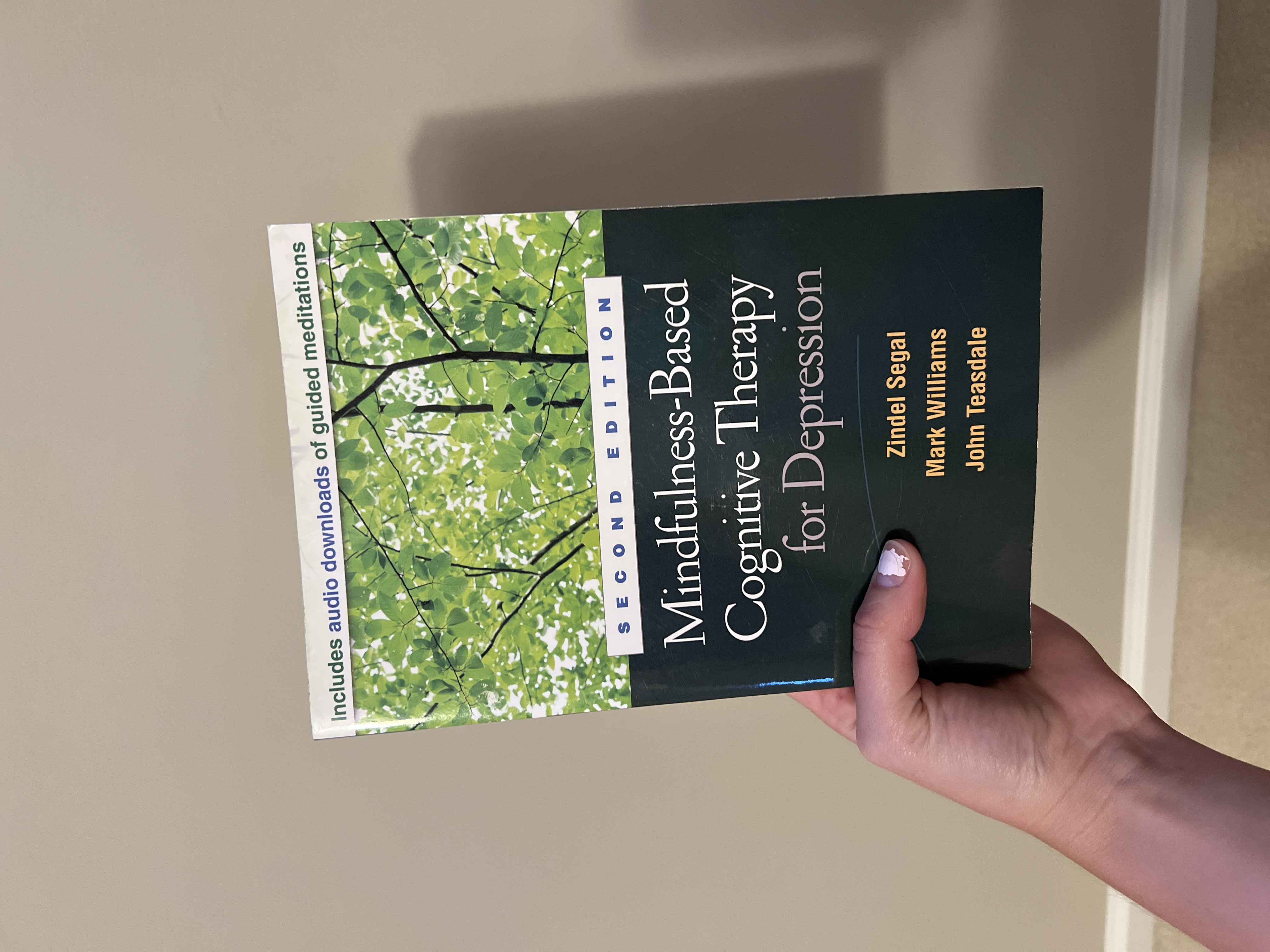 Mindfulness-Based Cognitive Therapy for Depression, Second Edition