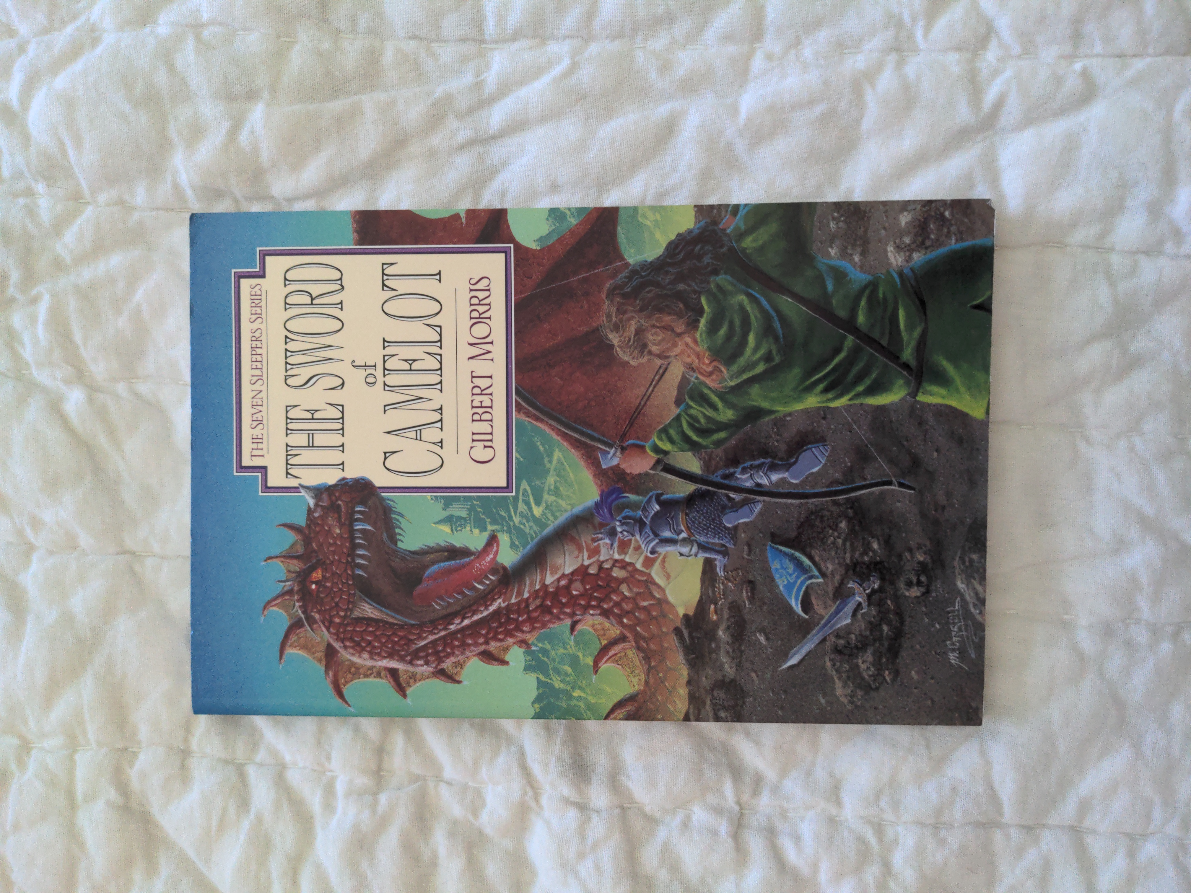 The Sword of Camelot