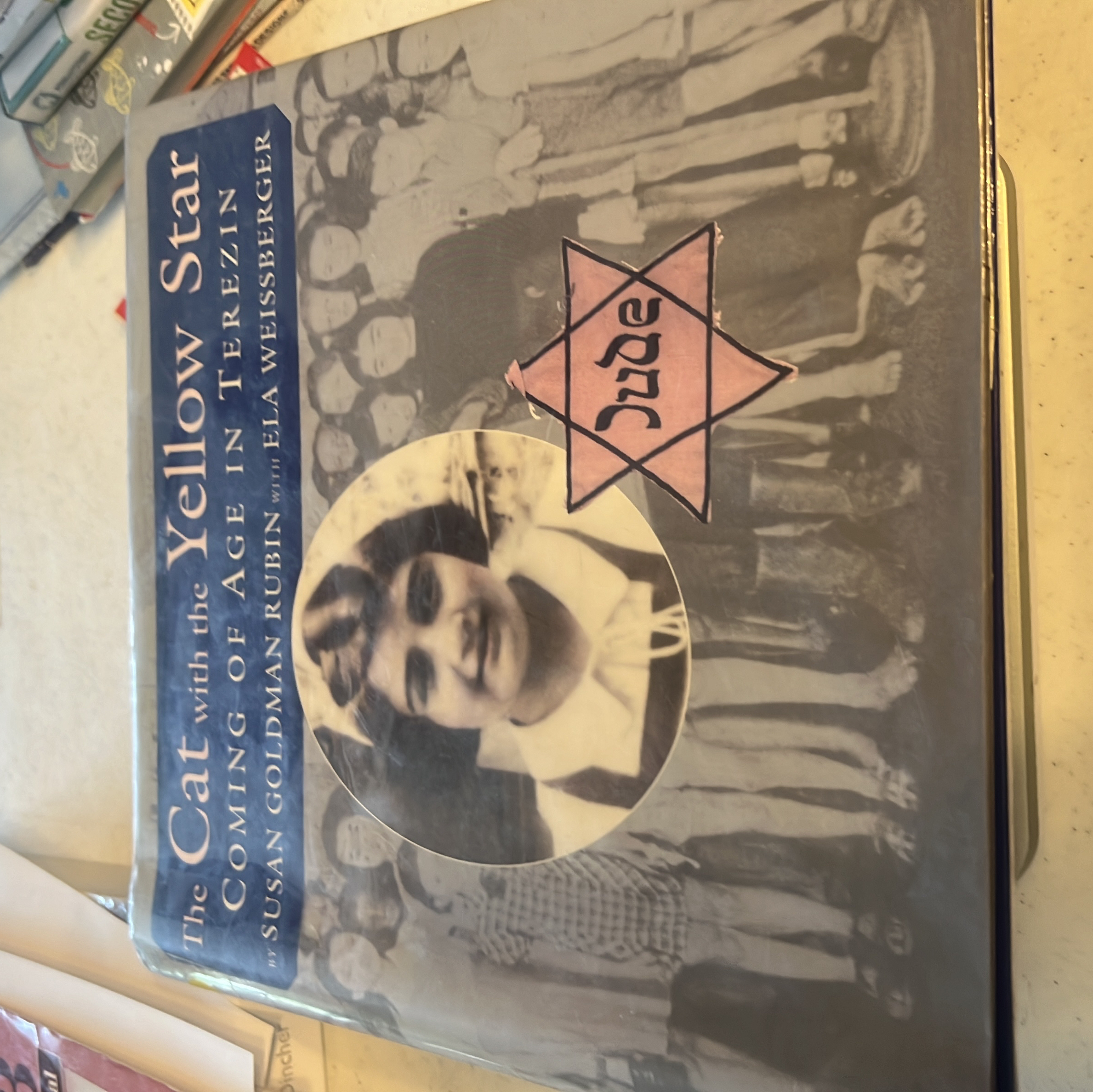 The Cat with the Yellow Star