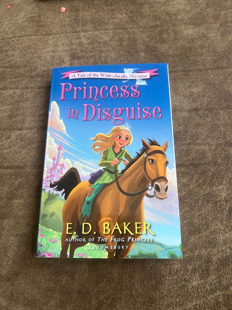 Princess in Disguise