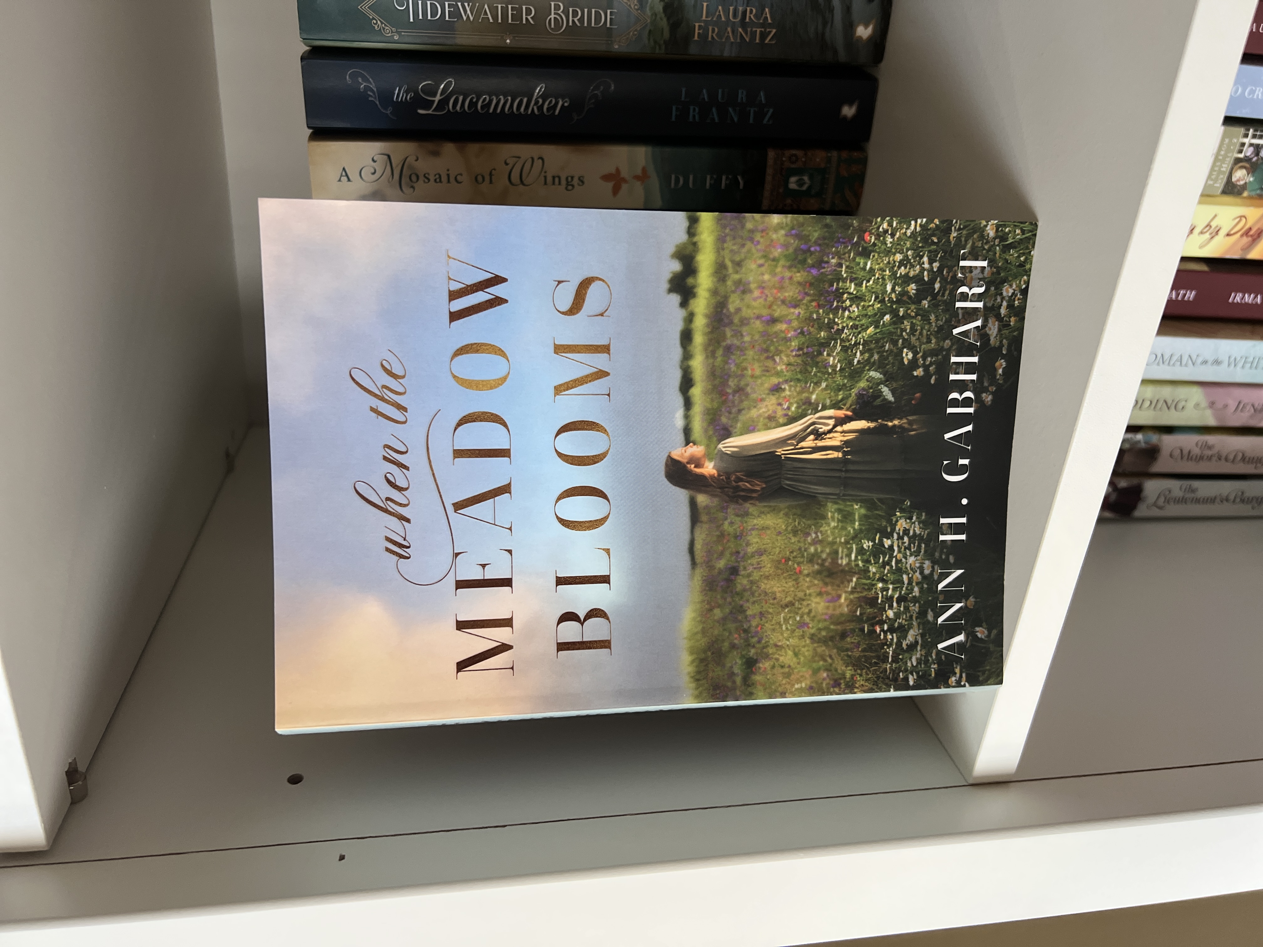 When the Meadow Blooms