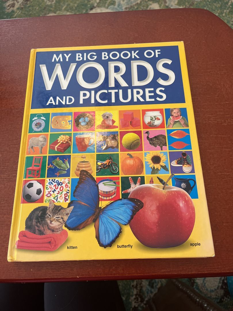 My big book of words and pictures by Hinkler | PangoBooks