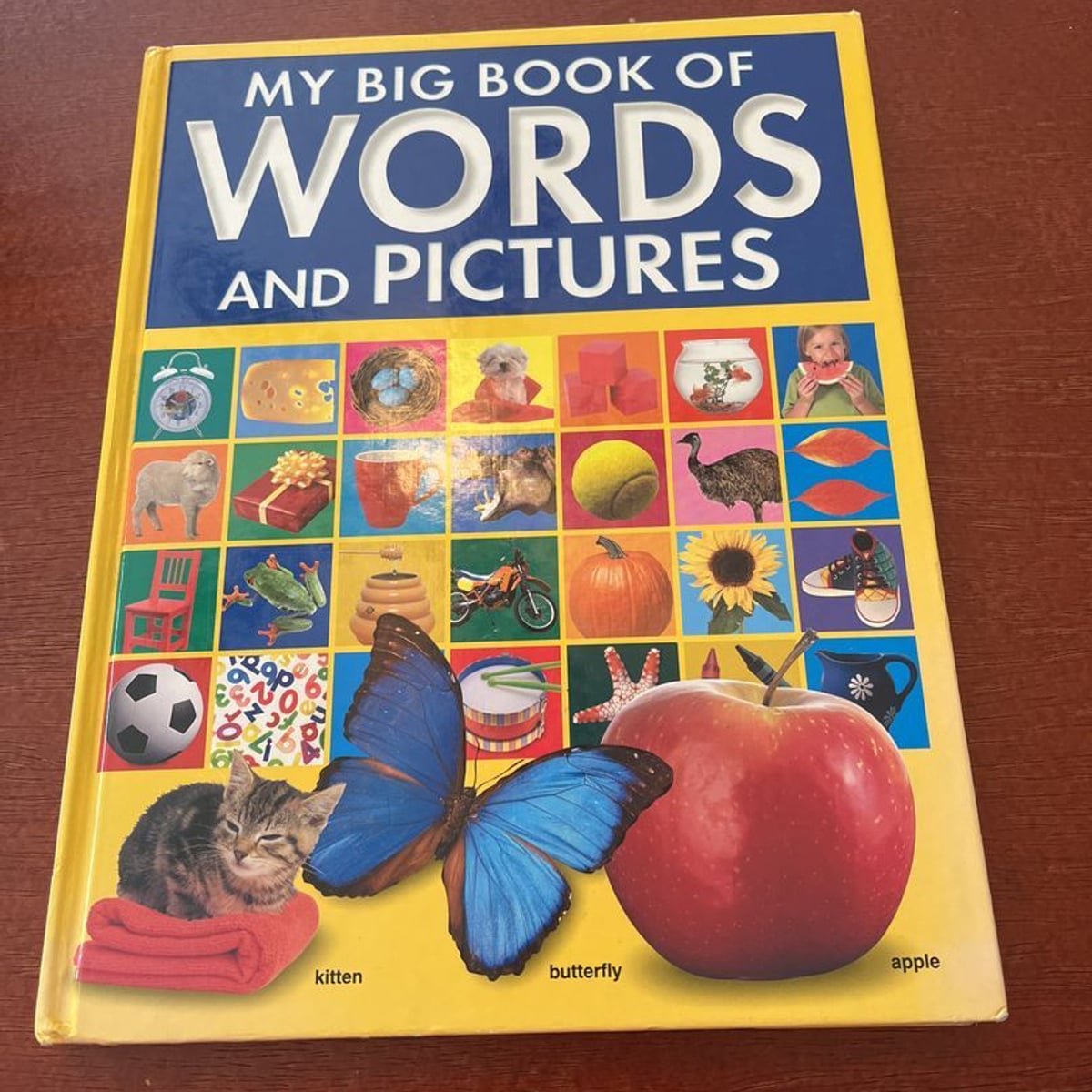 MY BIG BOOK OF WORDS　未開封 My big book of words and pictures by Hinkler | PangoBooks