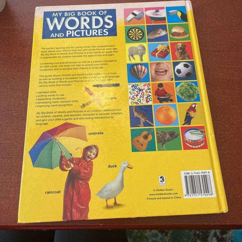 My big book of words and pictures by Hinkler Books