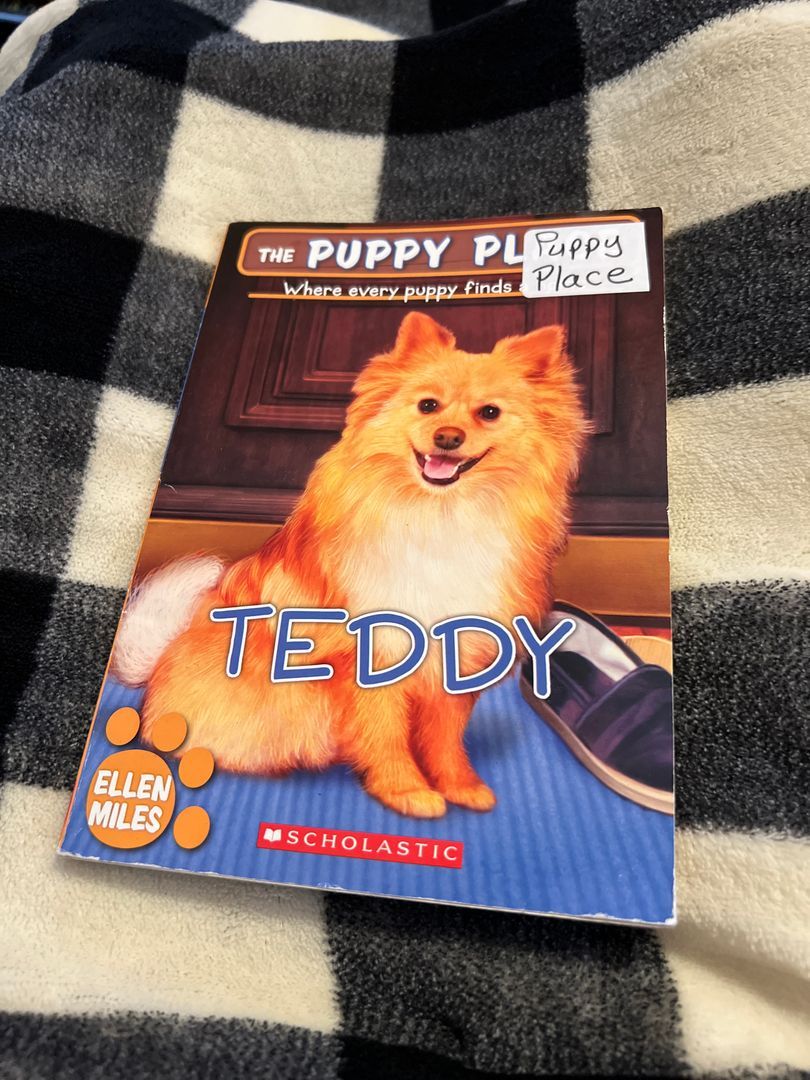 Teddy