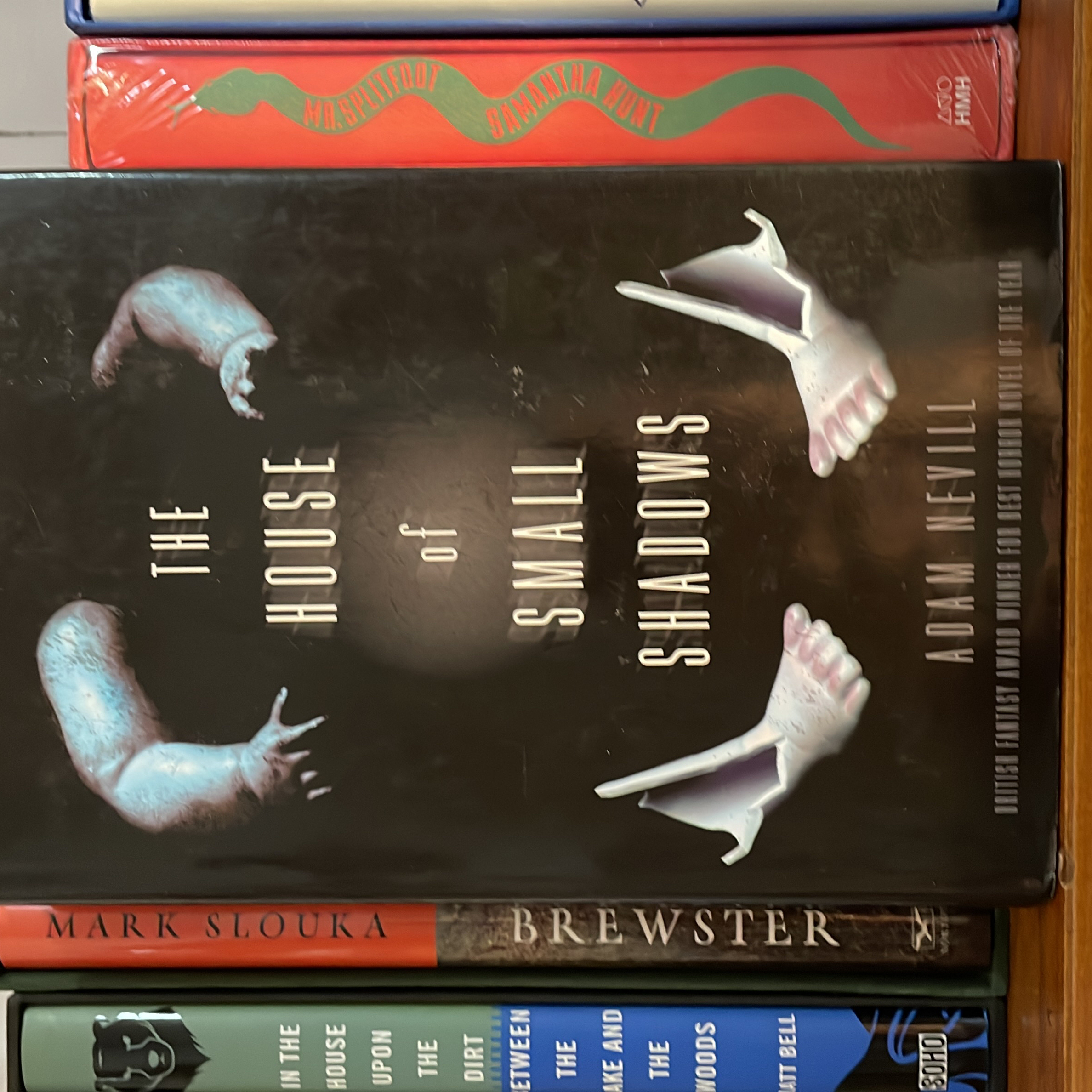 The House of Small Shadows