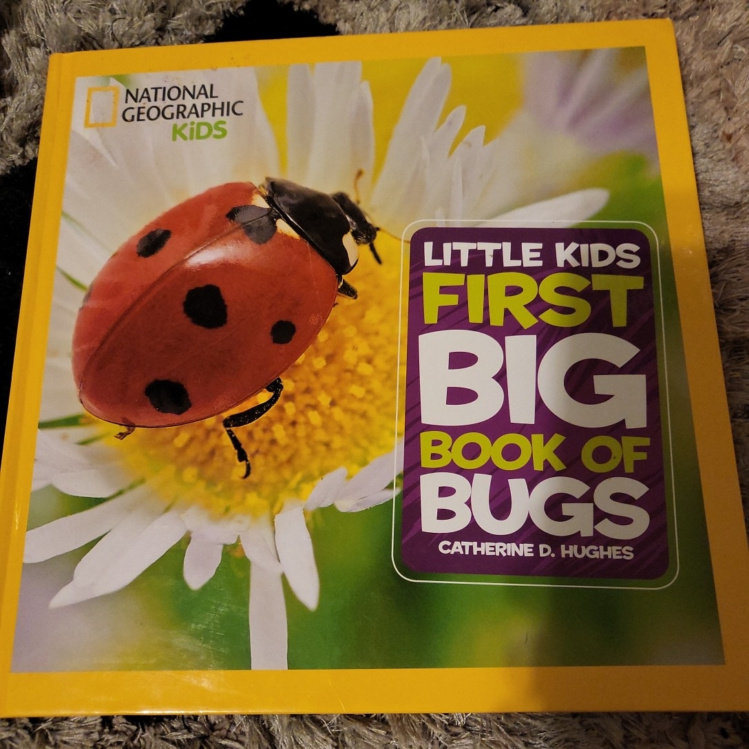 National Geographic Little Kids First Big Book of Bugs