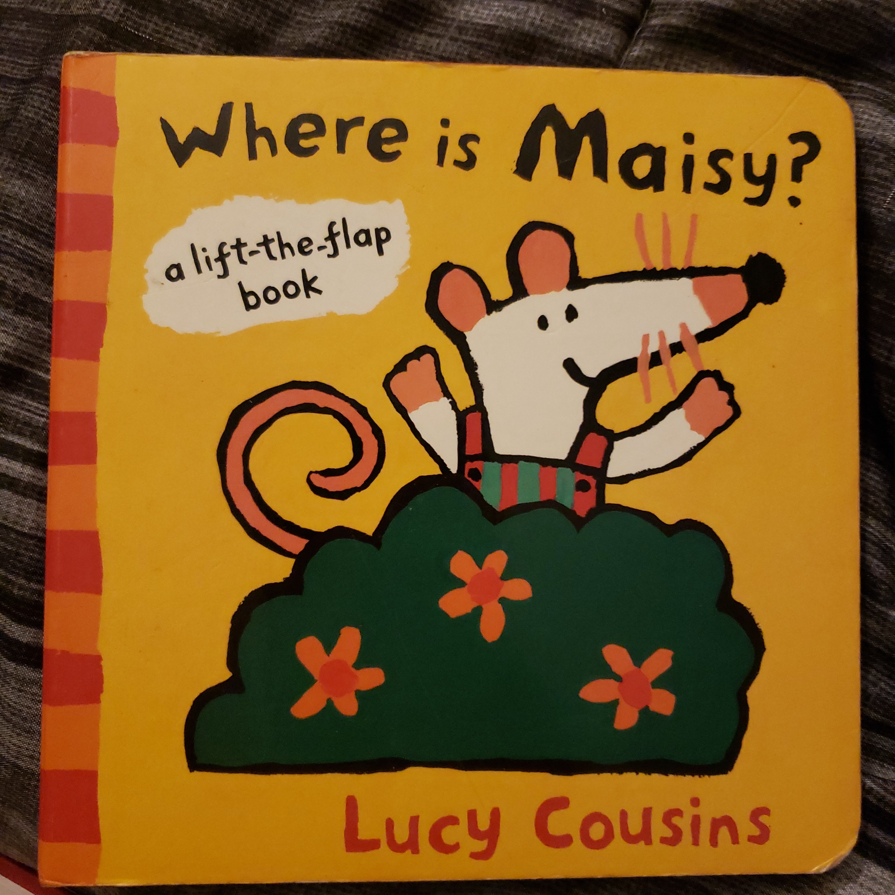 Where Is Maisy?