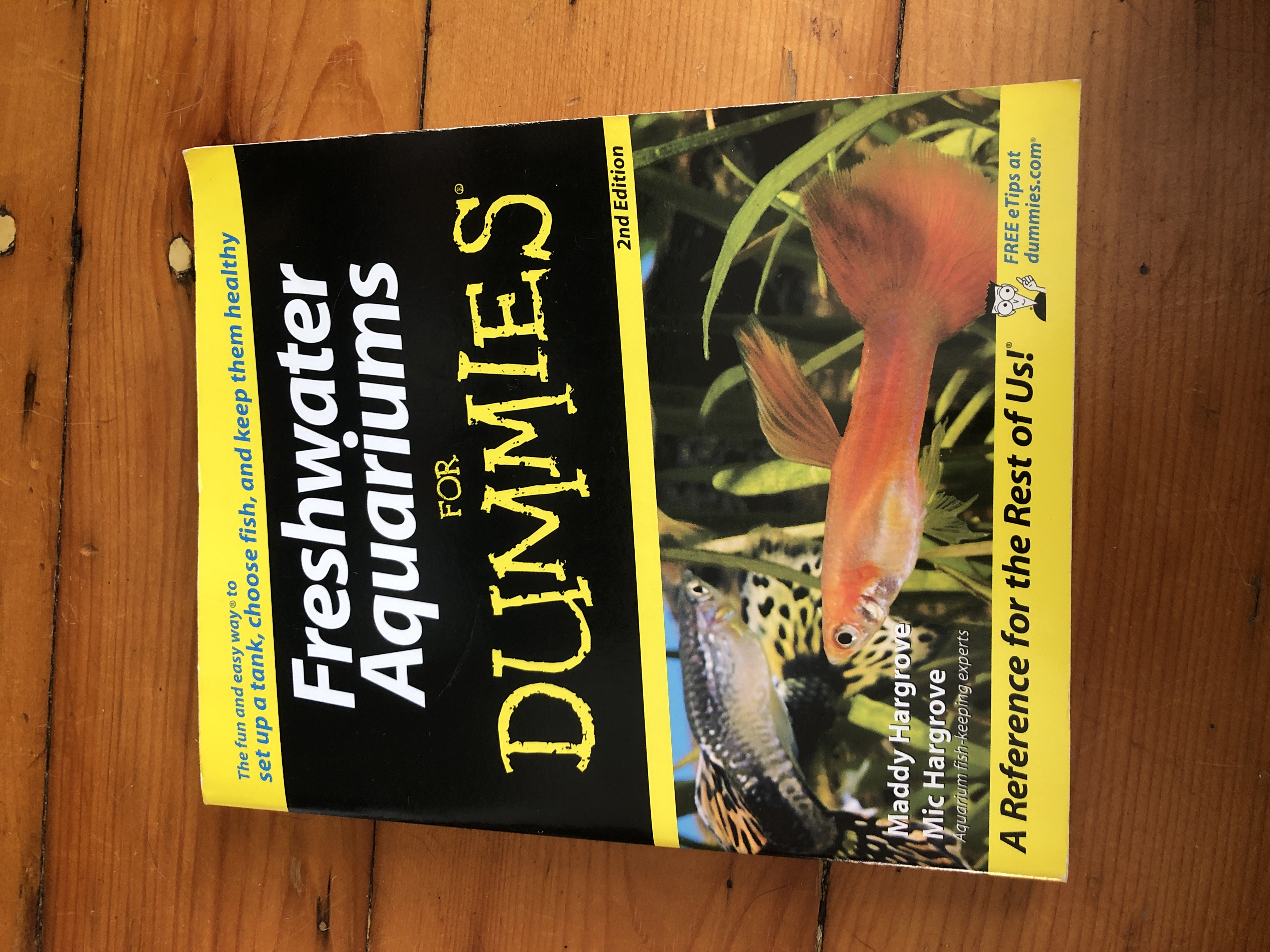 Freshwater Aquariums
