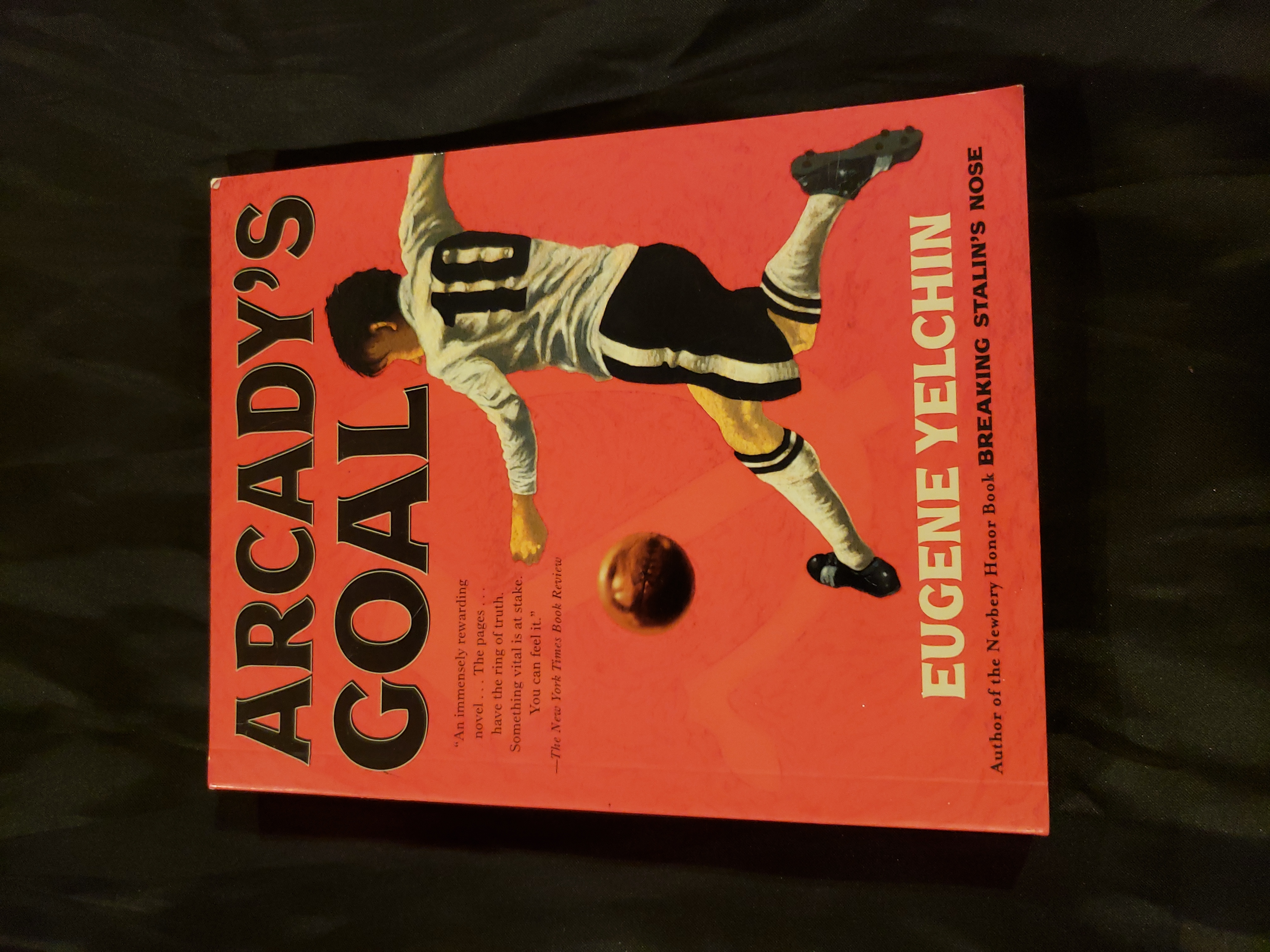 Arcady's Goal