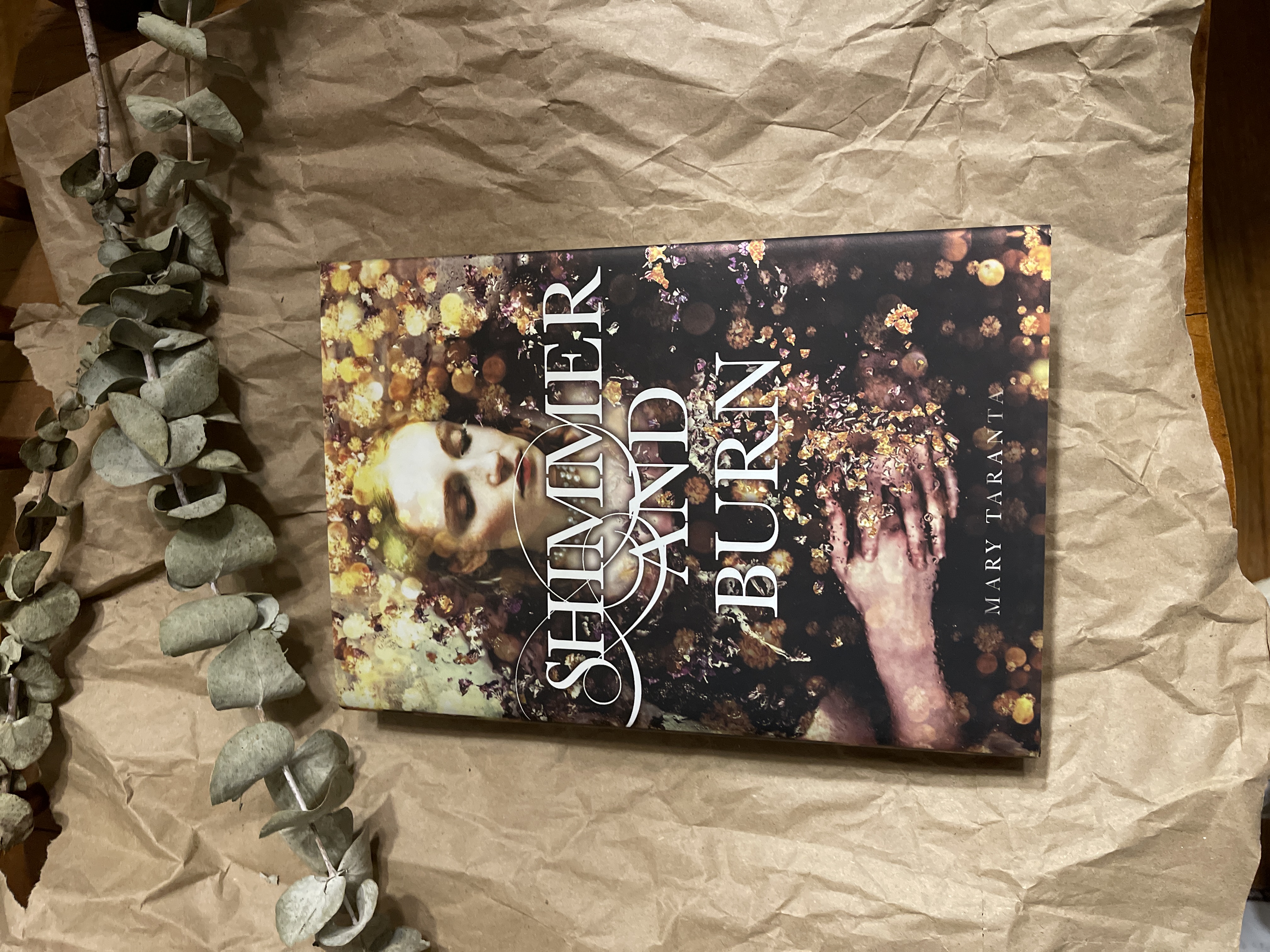 Shimmer and Burn (First Edition)