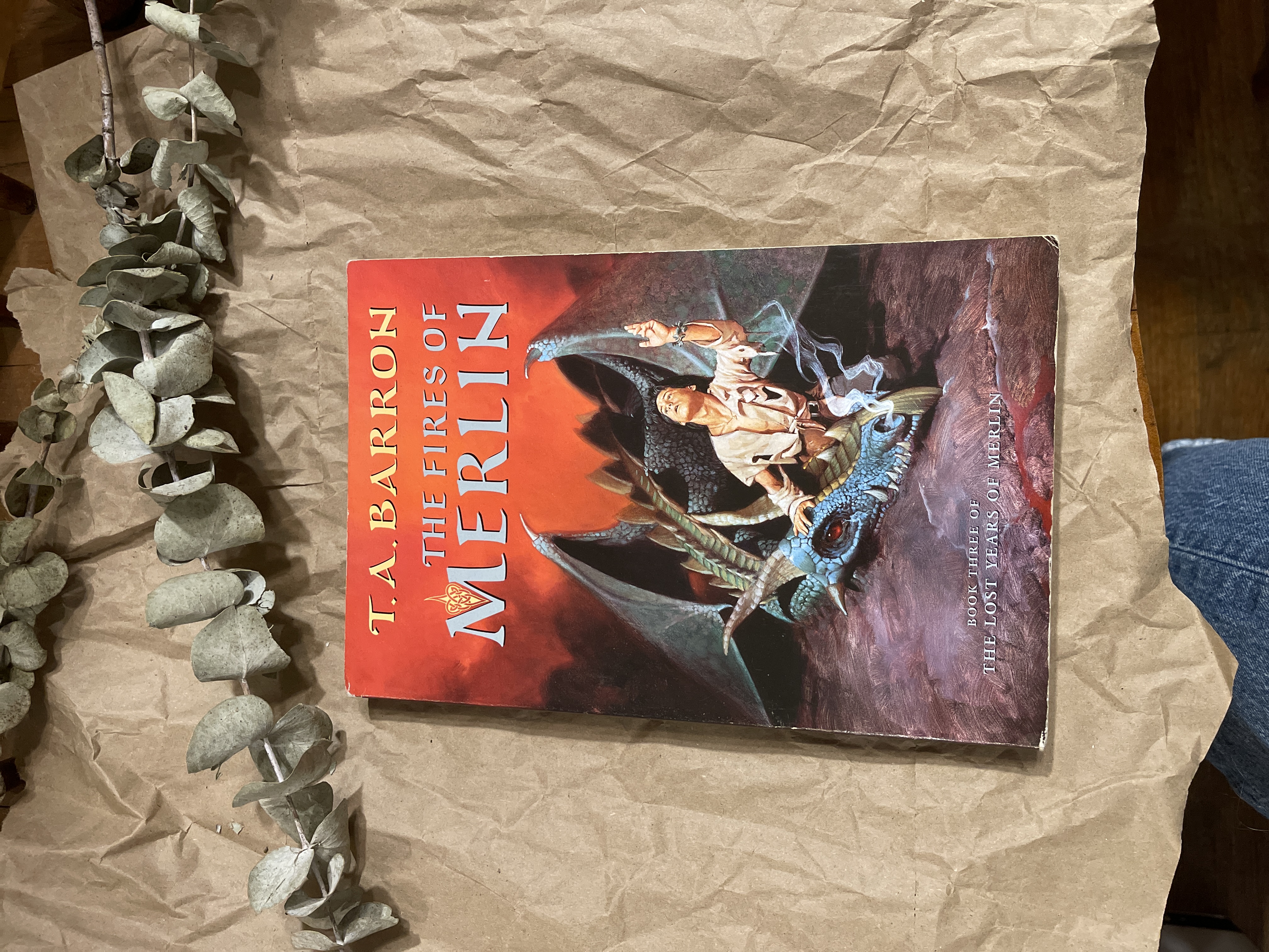 The Fires of Merlin