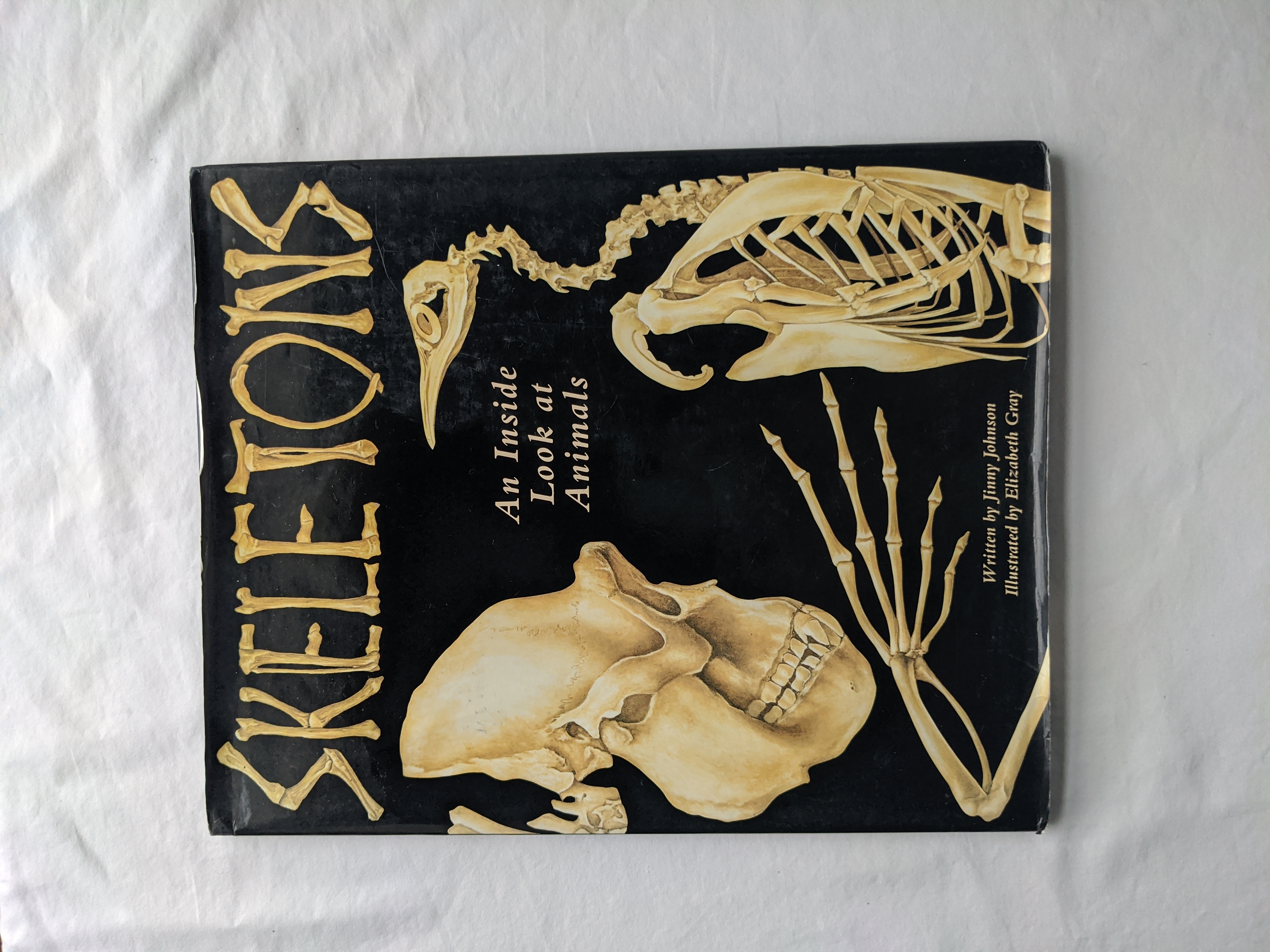Skeletons