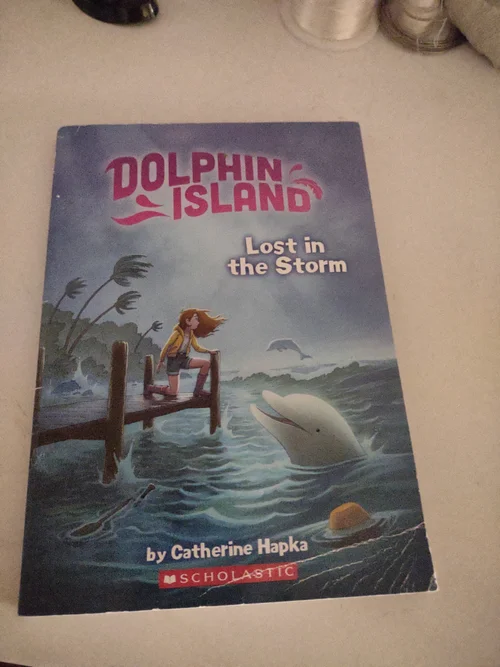 Lost in the Storm (Dolphin Island #2)