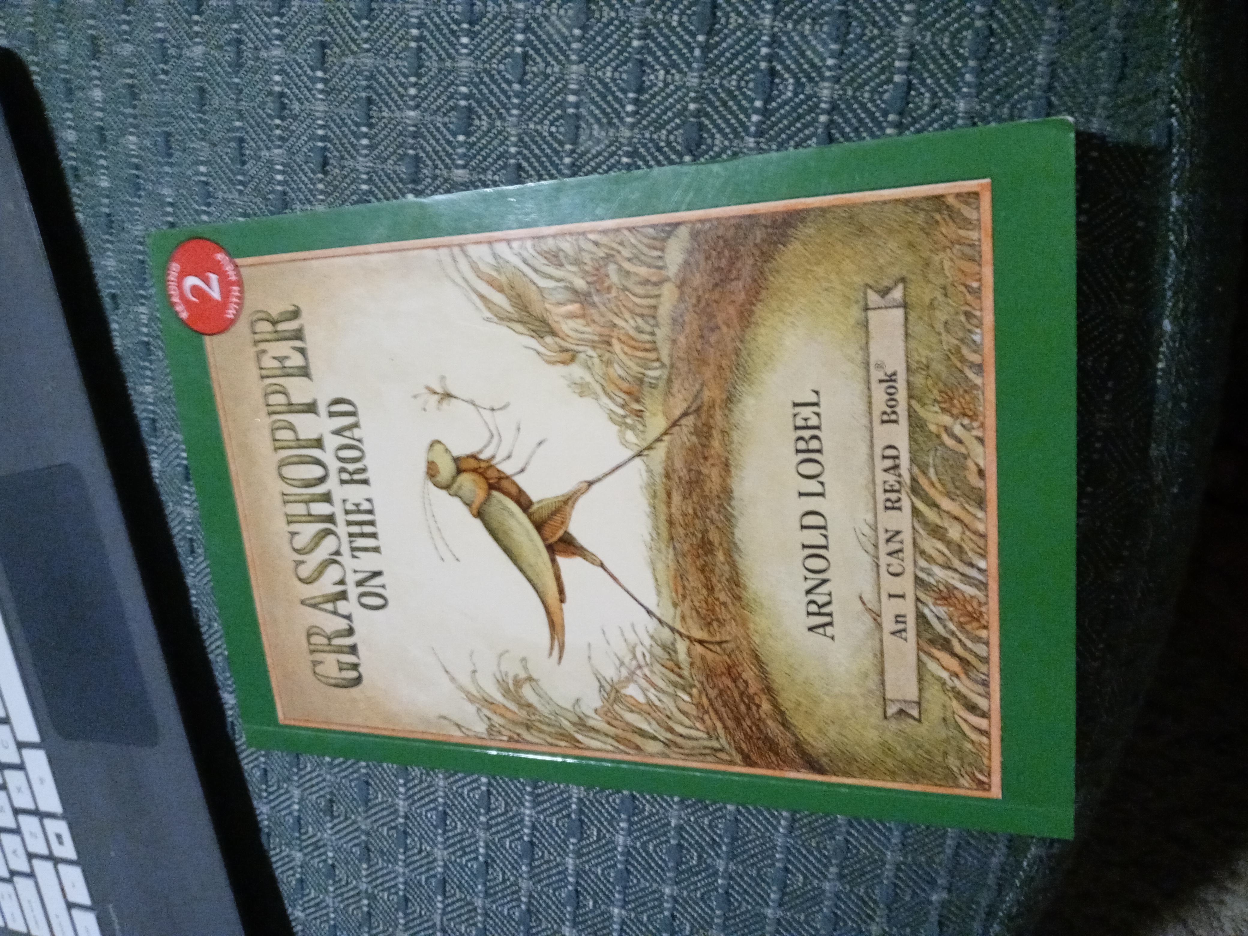 Grasshopper on the Road