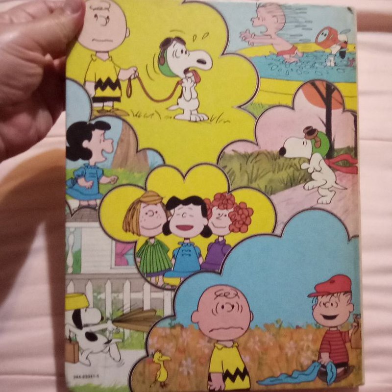 The Charlie Brown Dictionary by Charles Schulz