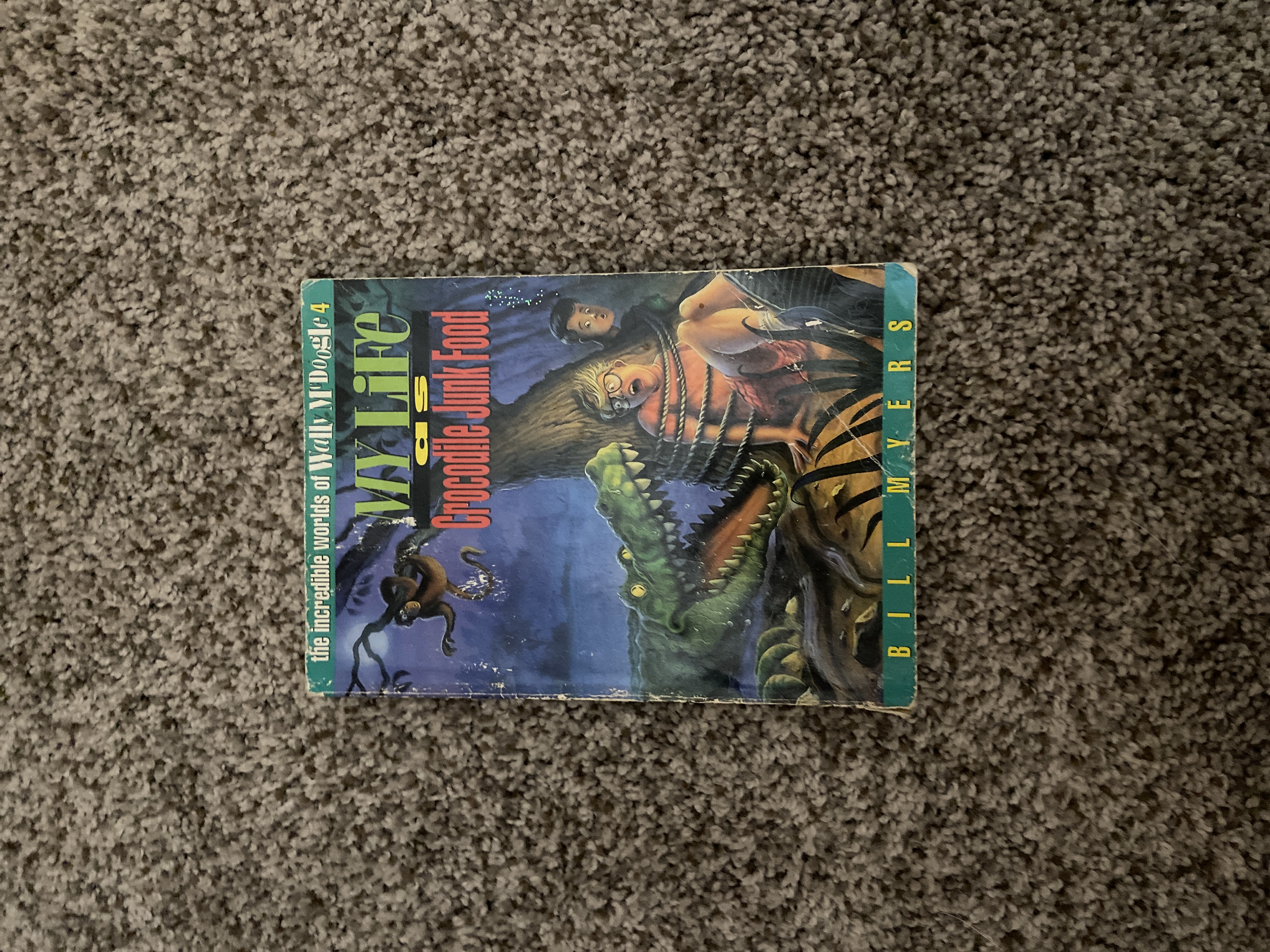 My Life as Crocodile Junk Food