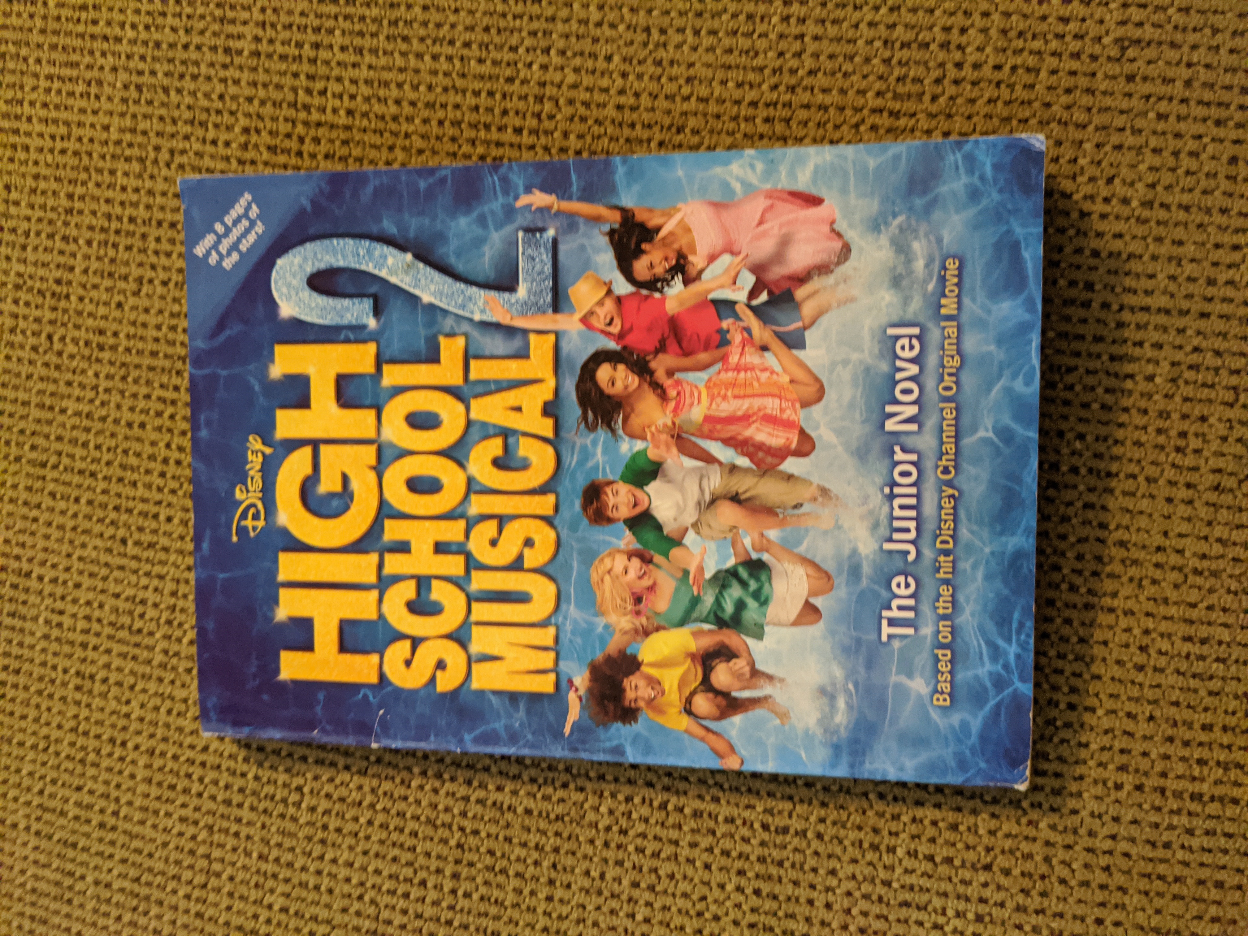 Disney High School Musical: the Junior Novel - #2