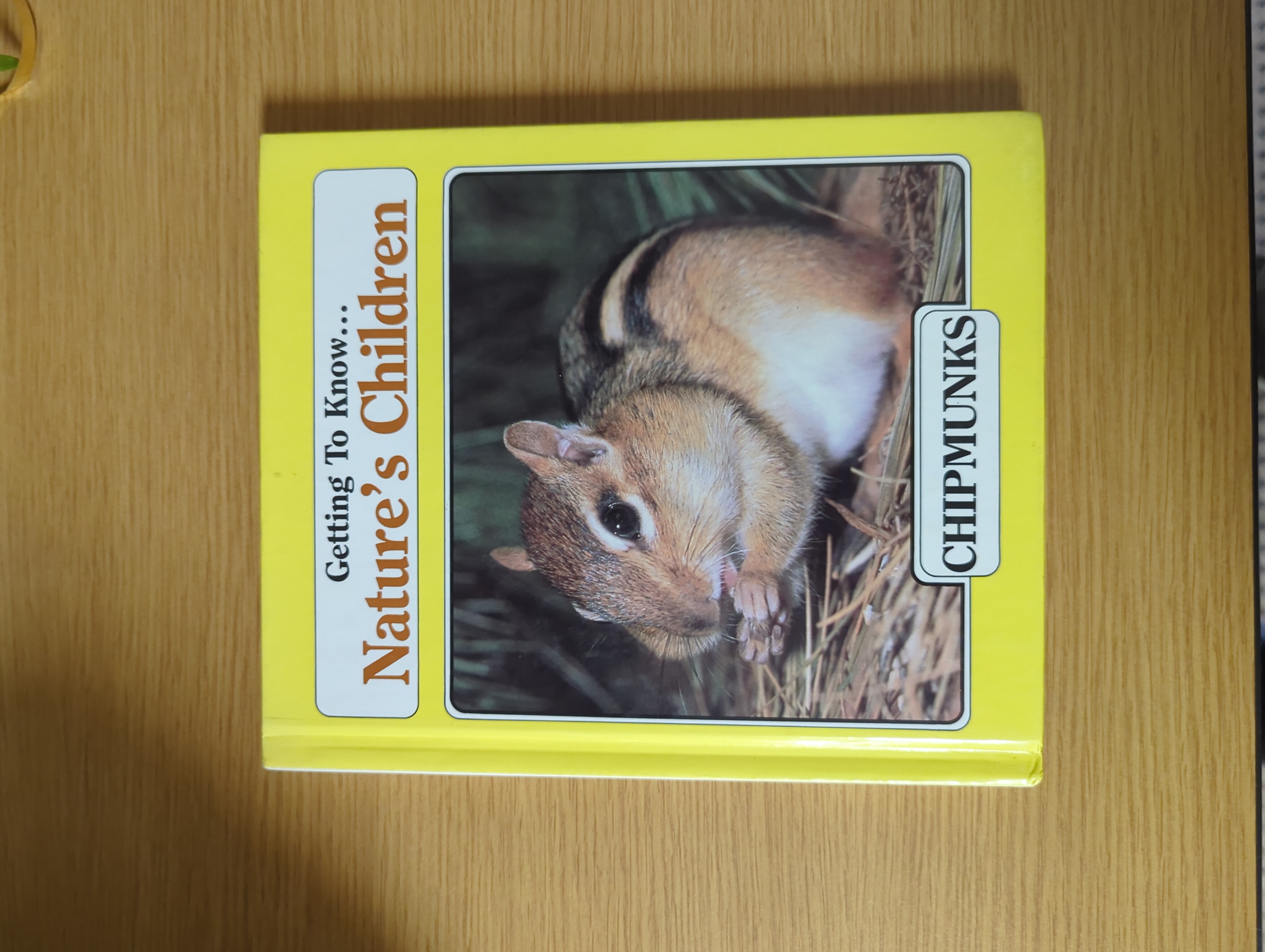 Getting to Know Chipmunks and Beavers