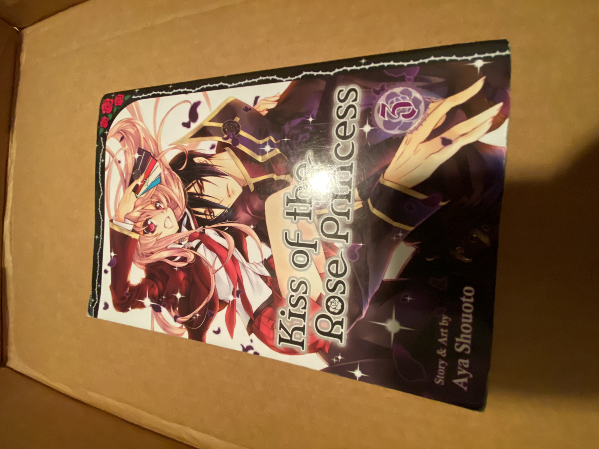 Kiss of the Rose Princess, Vol. 3