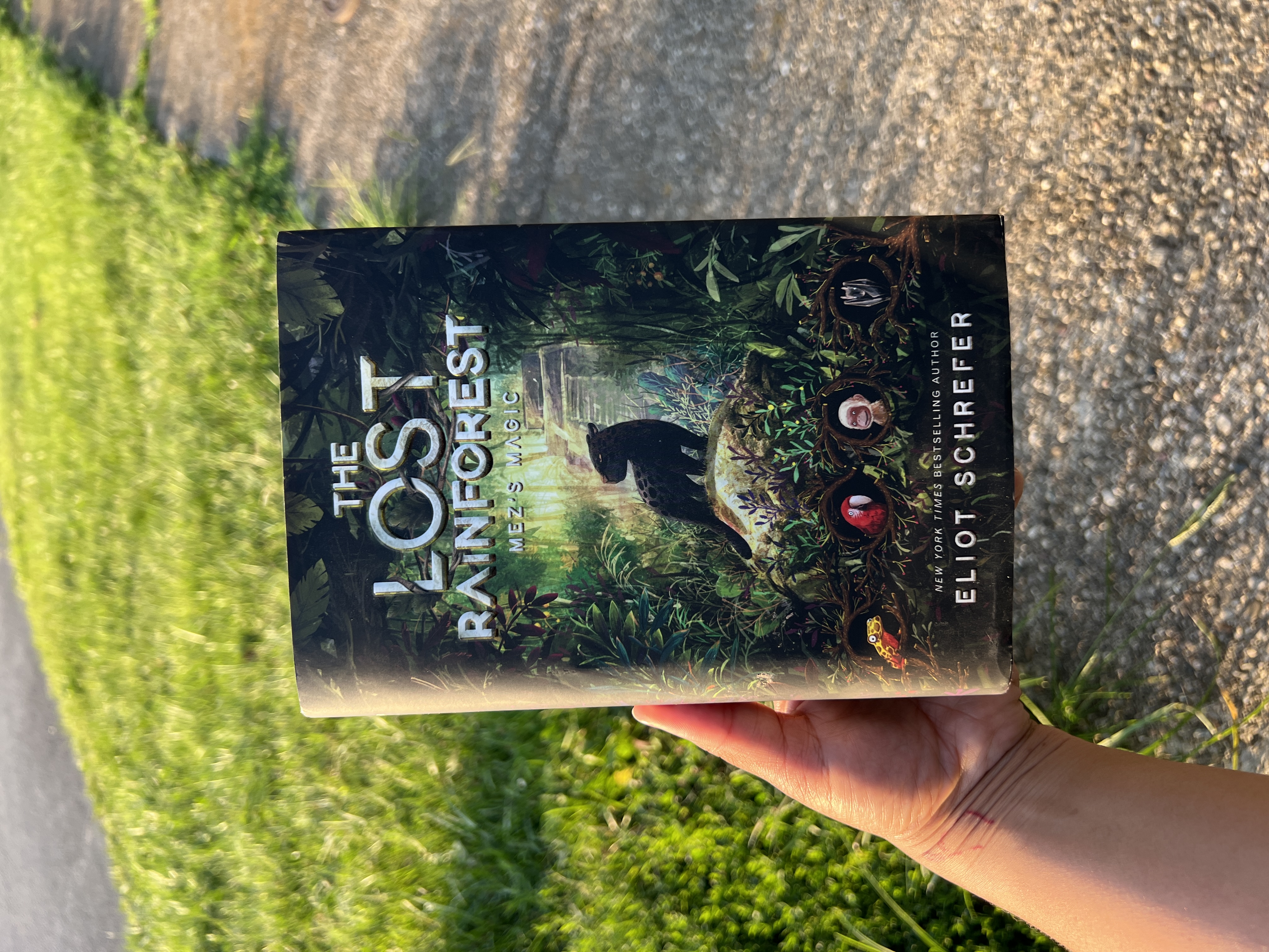 The Lost Rainforest #1: Mez's Magic