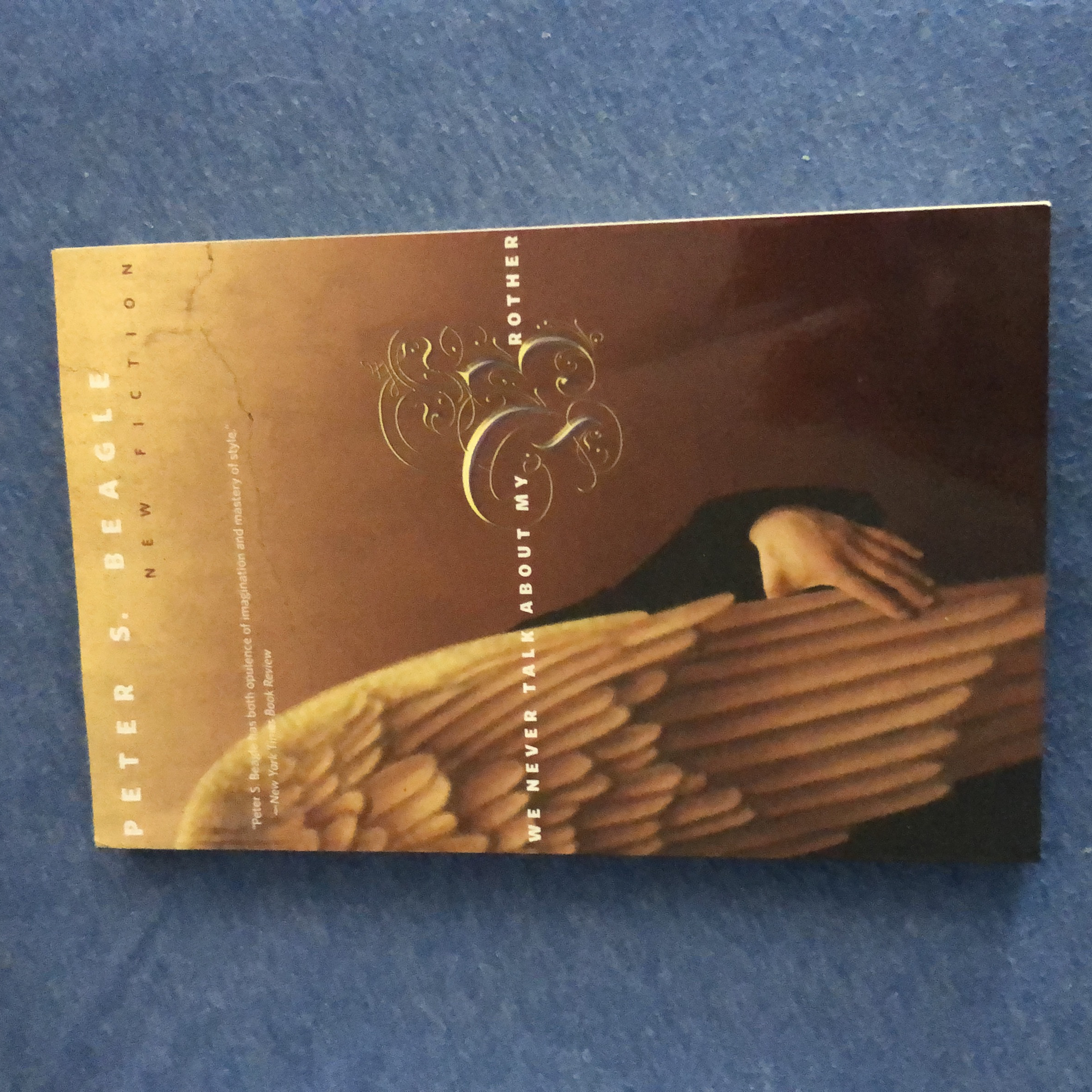 We Never Talk about My Brother