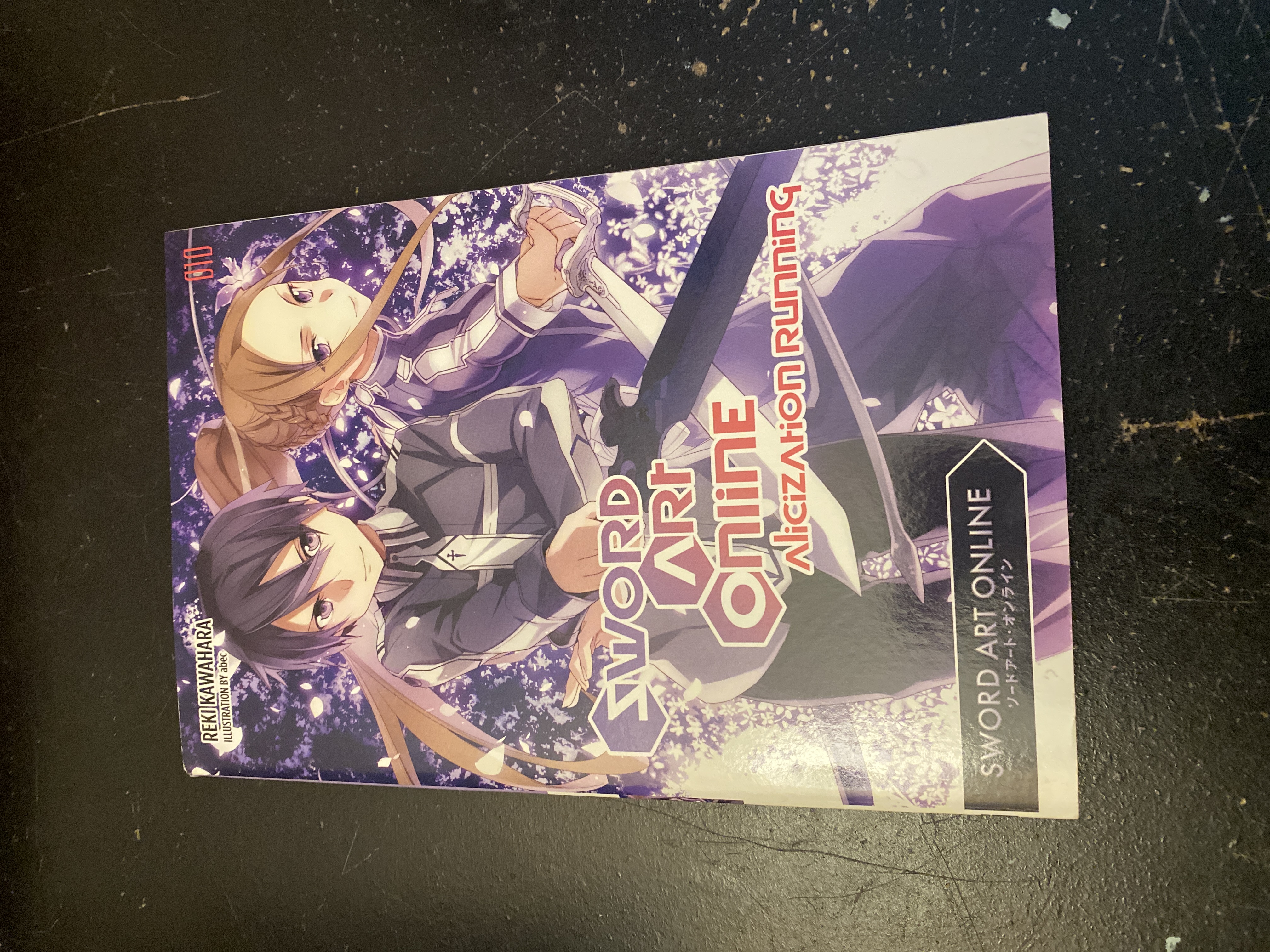 Sword Art Online 10 (light Novel)