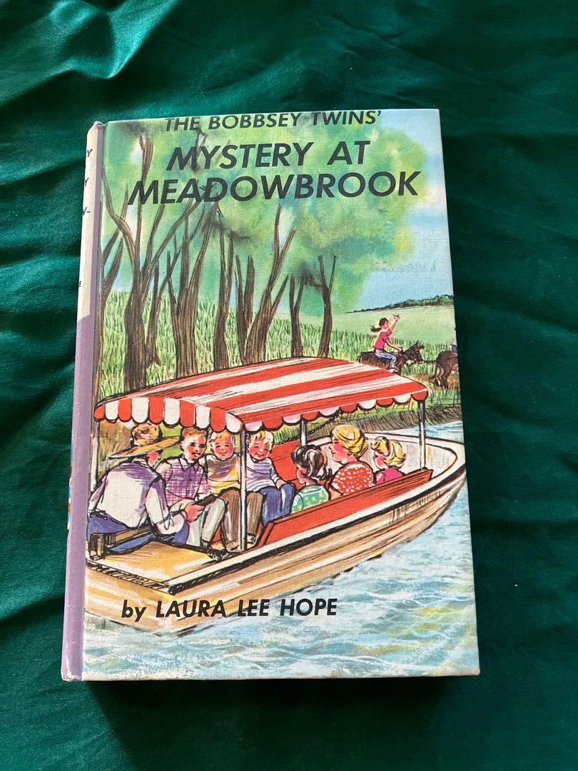 The Bobbsey Twins' Mystery at Meadowbrook
