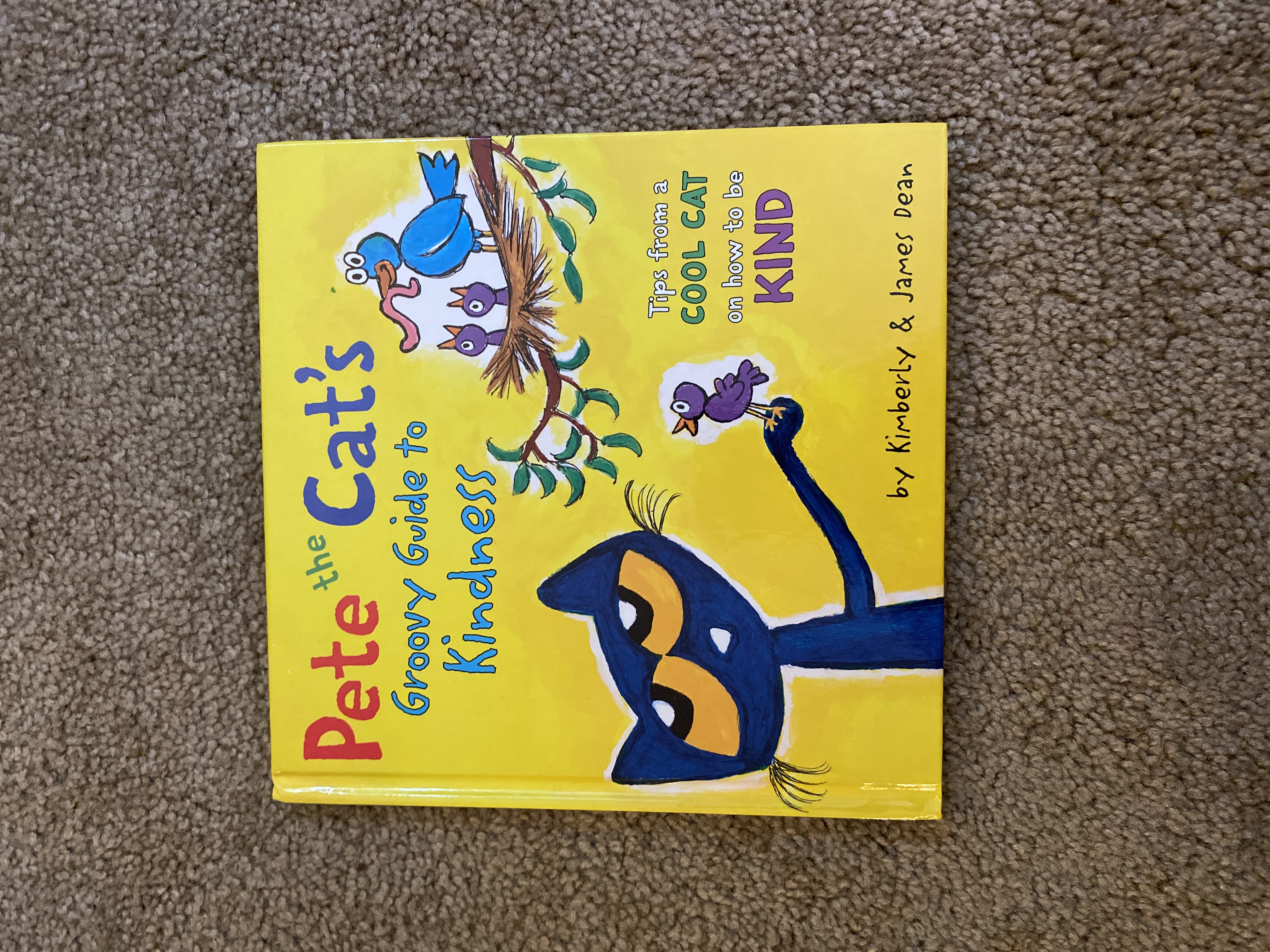 Pete the Cat's Groovy Guide to Kindness