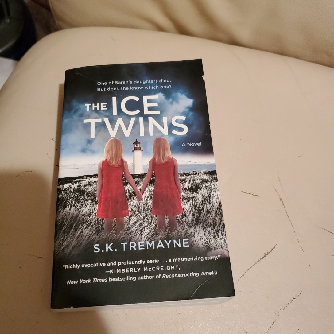 The Ice Twins