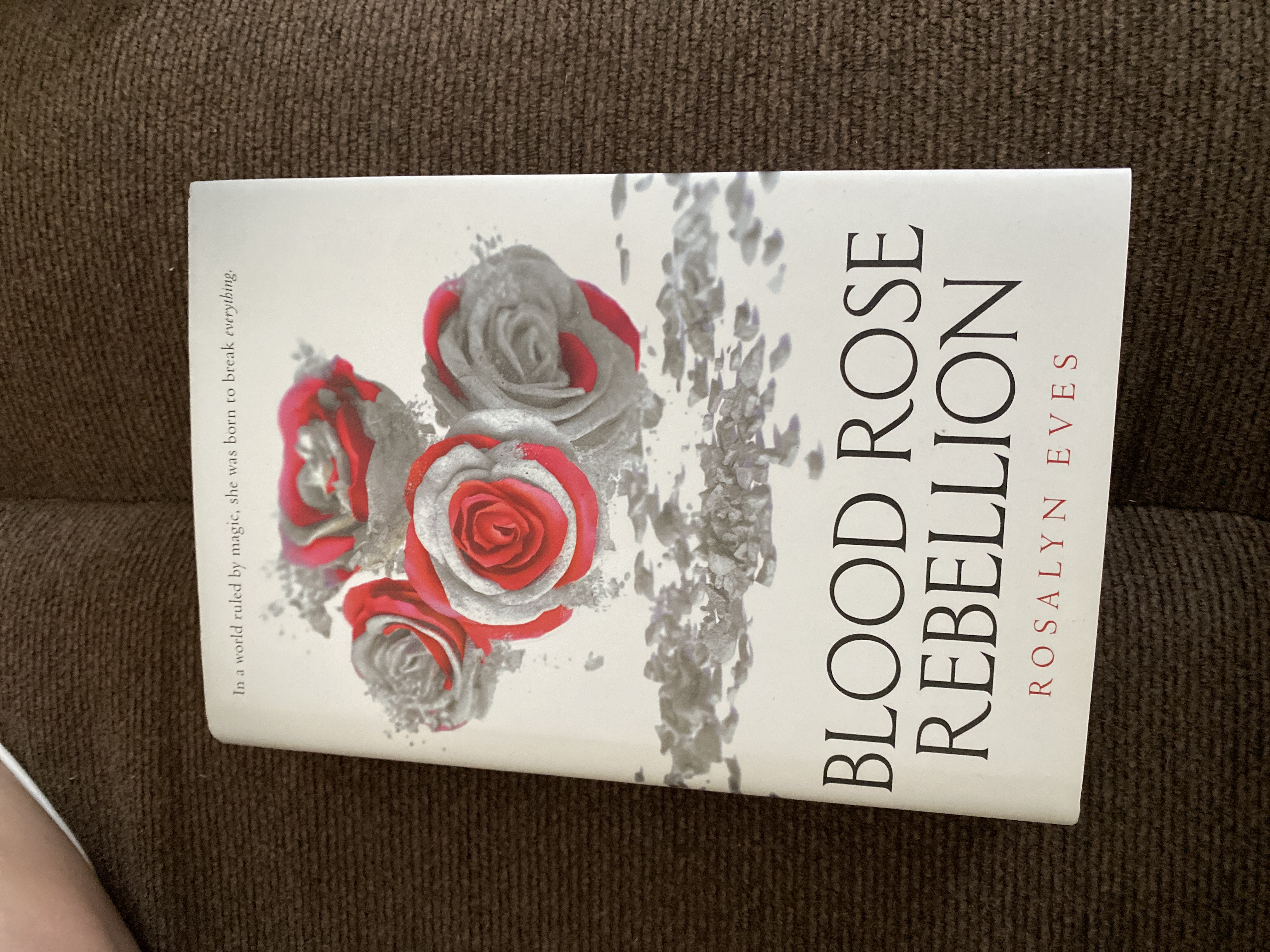 Sale image for b45782c4-5de6-4a10-b898-bd2ccf2ef9a5-pnMpBY4vswUDfdb5qQb7dnnFlL73